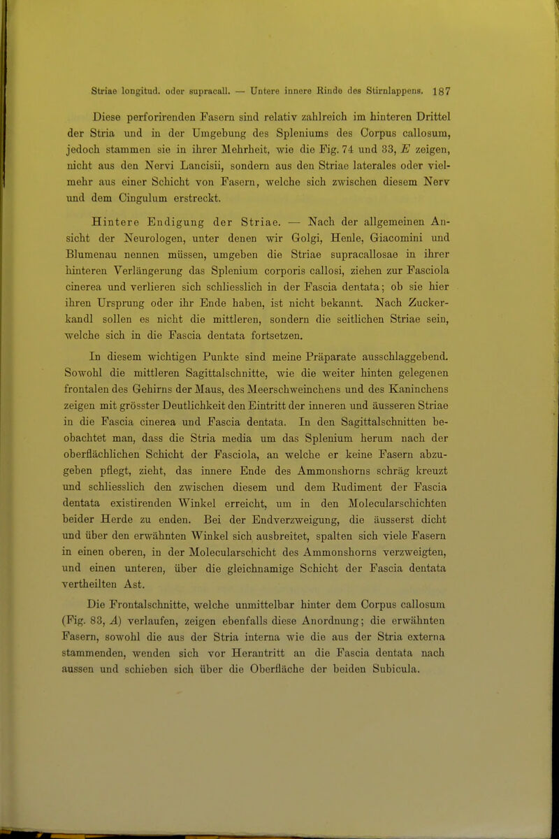 Diese perforirenden Fasern sind relativ zahlreich im hinteren Drittel der Stria und in der Umgebung des Spleniums des Corpus callosum, jedoch stammen sie in ihrer Mehrheit, wie die Fig. 74 und 33, E zeigen, nicht aus den Nervi Lancisii, sondern aus den Striae laterales oder viel- mehr aus einer Schicht von Fasern, welche sich zwischen diesem Nerv und dem Cingulum erstreckt. Hintere Endigung der Striae. — Nach der allgemeinen An- sicht der Neurologen, unter denen wir Golgi, Henle, Giacomini und Blumenau nennen müssen, umgeben die Striae supracallosae in ihrer hinteren Verlängerung das Splenium corporis callosi, ziehen zur Fasciola cinerea und verlieren sich schliesslich in der Fascia dentata; ob sie hier ihren Ursprung oder ihr Ende haben, ist nicht bekannt. Nach Zucker- kandl sollen es nicht die mittleren, sondern die seitlichen Striae sein, welche sich in die Fascia dentata fortsetzen. In diesem wichtigen Punkte sind meine Präparate ausschlaggebend. Sowohl die mittleren Sagittalschnitte, wie die weiter hinten gelegenen frontalen des Gehirns der Maus, des Meerschweinchens und des Kaninchens zeigen mit grösster Deutlichkeit den Eintritt der inneren und äusseren Striae in die Fascia cinerea \ind Fascia dentata. In den Sagittalschnitten be- obachtet man, dass die Stria media um das Splenium herum nach der oberflächlichen Schicht der Fasciola, an welche er keine Fasern abzu- geben pflegt, zieht, das innere Ende des Ammonshorns schräg kreuzt und schliesslich den zwischen diesem und dem Rudiment der Fascia dentata existirenden Winkel erreicht, um in den Molecularschichten beider Herde zu enden. Bei der Endverzweigung, die äusserst dicht und über den erwähnten Winkel sich ausbreitet, spalten sich viele Fasern in einen oberen, in der Molecularschicht des Ammonshorns verzweigten, und einen unteren, über die gleichnamige Schicht der Fascia dentata vertheilten Ast. Die Frontalschnitte, welche unmittelbar hinter dem Corpus callosum (Fig. 83, A) verlaufen, zeigen ebenfalls diese Anordnung; die erwähnten Fasern, sowohl die aus der Stria interna wie die aus der Stria externa stammenden, wenden sich vor Herantritt an die Fascia dentata nach aussen und schieben sich über die Oberfläche der beiden Subicula.