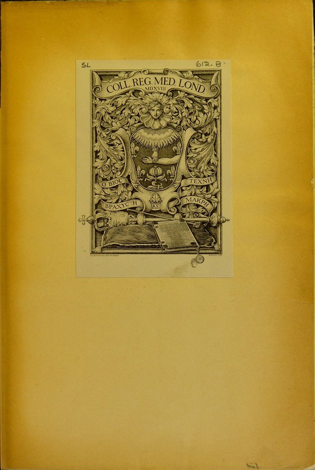 digitised image 3