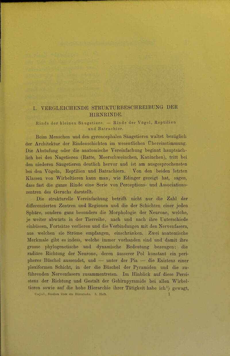 HIRNRINDE. Rinde der kleinen Säugetiere. — Rinde der Vögel, Reptilien und Batrachier. Beim Menschen und den gyrencephalen Säugetieren waltet bezüglich der Architektur der Rinden schichten im wesentlichen Übereinstimmung. Die Abstufung oder die anatomische Vereinfachung beginnt hauptsäch- lich bei den Nagetieren (Ratte, Meerschweinchen, Kaninchen), tritt bei den niederen Säugetieren deutlich hervor und ist am ausgesprochensten bei den Vögeln, Reptilien und Batrachiem. Von den beiden letzten Klassen von Wirbeltieren kann man, wie Edinger gezeigt hat, sagen, dass fast die ganze Rinde eine Serie von Perceptions- und Associations- zentren des Geruchs darstellt. Die strukturelle Vereinfachung betrifft nicht nur die Zahl der differenzierten Zentren und Regionen und die der Schichten einer jeden Sphäre, sondern ganz besonders die Morphologie der Neurone, welche, je weiter abwärts in der Tierreihe, nach und nach ihre Unterschiede einbüssen, Fortsätze verlieren und die Verbindungen mit den Nervenfasern, aus welchen sie Ströme empfangen, einschränken. Zwei anatomische Merkmale gibt es indess, welche immer vorhanden sind und damit ihre grosse phylogenetische und dynamische Bedeutung bezeugen: die radiäre Richtung der Neurone, deren äusserer Pol konstant ein peri- pheres Büschel aussendet, und — unter der Pia — die Existenz einer plexiformen Schicht, in der die Büschel der Pyramiden und die zu- führenden Nervenfasern zusammentreten. Im Hinblick auf diese Persi- stenz der Richtung und Gestalt der Gehirnpyramide bei allen Wirbel- tieren sowie auf die hohe Hierarchie ihrer Tätigkeit habe ich^) gewagt, Cajal, Studien über die lUrnriiido. .'). Heft. 1