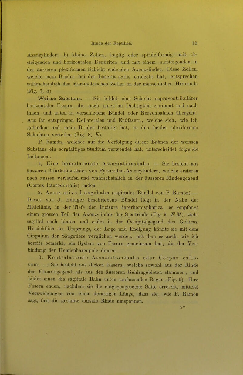 Axenzylinder; b) kleine Zellen, kuglig oder spindelförmig, mit ab- steigenden und horizontalen Dendriten und mit einem aufsteigenden in der äusseren plexiformen Schicht endenden Axenzylinder. Diese Zellen, welche mein Bruder bei der Lacerta agilis entdeckt hat, entsprechen wahrscheinlich den Martinottischen Zellen in der menschlichen Hirnrinde (Fig. 7, d). Weisse Substanz. — Sie bildet eine Schicht supraventrikulärer horizontaler Fasern, die nach innen an Dichtigkeit zunimmt und nach innen und unten in verschiedene Bündel oder Nervenbahnen übergeht. Aus ihr entspringen Kollateralen und Endfasern, welche sich, wie ich gefunden und mein Bruder bestätigt hat, in den beiden plexiformen Schichten verteilen (Fig. 8, E). P. ßamön, welcher auf die Verfolgung dieser Bahnen der weissen Substanz ein sorgfältiges Studium verwendet hat, unterscheidet folgende Leitungen: 1. Eine homolaterale Assoziationsbahn. — Sie besteht aus äusseren Bifurkationsästen von Pyi'amiden-Axenzylindern, welche ersteren nach aussen verlaufen und wahrscheinlich in der äusseren Rindengegend (Cortex laterodorsalis) enden. 2. Assoziative Längsbahn (sagittales Bündel von P. Kamön).— Dieses von J. Edinger beschriebene Bündel liegt in der Nähe der Mittellinie, in der Tiefe der Incisura interhemisphärica; es empfängt einen grossen Teil der Axenzylinder der Spaltrinde (Fig. 9, F M)^ zieht sagittal nach hinten und endet in der Occipitalgegend des Gehirns. Hinsichtlich des Ursprungs, der Lage und Endigung könnte sie mit dem Cingulum der Säugetiere verglichen werden, mit dem es auch, wie ich bereits bemerkt, ein System von Pasern gemeinsam hat, die der Ver- bindung der Hemisphärenpole dienen. 3. Kontralaterale Assoziationsbahn oder Corpus callo- sum. — Sie besteht aus dicken Fasern, welche sowohl aus der Rinde der Fissuralgegend, als aus den äusseren Gehirngebieten stammen, und bildet einen die sagittale Bahn unten umfassenden Bogen (Fig. 9). Ihre Fasern enden, nachdem sie die entgegengesetzte Seite erreicht, mittelst Verzweigungen von einer derartigen Länge, dass sie, wie P. Ramön sagt, fast die gesamte dorsale Rinde umspannen.