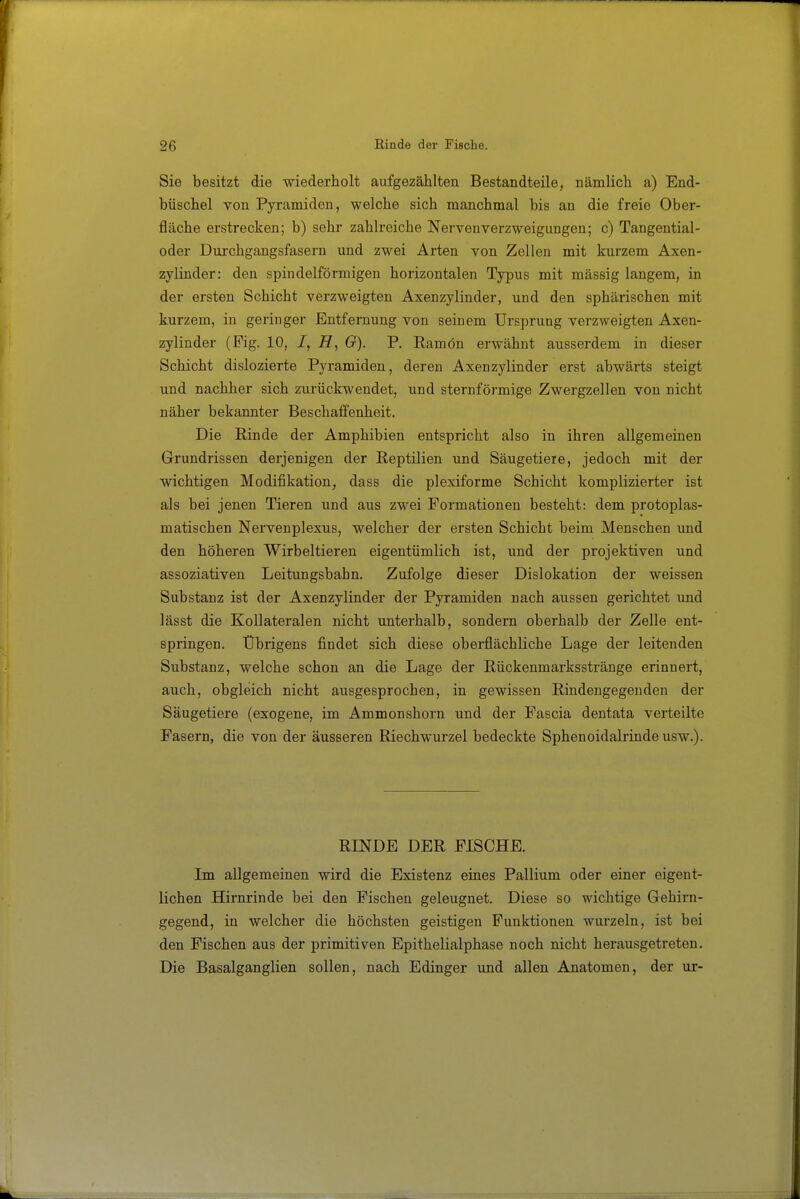 Sie besitzt die wiederholt aufgezählten Bestandteile, nämlich a) End- büschel von Pyramiden, welche sich manchmal bis an die freie Ober- fläche erstrecken; b) sehr zahlreiche Nervenyerzweigungen; c) Tangential- oder Durchgangsfasern und zwei Arten von Zellen mit kurzem Axen- zylinder: den spindelförmigen horizontalen Typus mit massig langem, in der ersten Schicht verzweigten Axenzylinder, und den sphärischen mit kurzem, in geringer Entfernung von seinem Ursprung verzweigten Axen- zylinder (Fig. 10, 7, O). P. Ramön erwähnt ausserdem in dieser Schicht dislozierte Pyramiden, deren Axenzylinder erst abwärts steigt und nachher sich zurückwendet, und sternförmige Zwergzellen von nicht näher bekannter Beschaffenheit. Die Rinde der Amphibien entspricht also in ihren allgemeinen Grundrissen derjenigen der Reptilien und Säugetiere, jedoch mit der wichtigen Modifikation, dass die plexiforme Schicht komplizierter ist als bei jenen Tieren und aus zwei Formationen besteht: dem protoplas- matischen Nervenplexus, welcher der ersten Schicht beim Menschen imd den höheren Wirbeltieren eigentümlich ist, und der projektiven und assoziativen Leitungsbahn. Zufolge dieser Dislokation der weissen Substanz ist der Axenzylinder der Pyramiden nach aussen gerichtet und lässt die Kollateralen nicht unterhalb, sondern oberhalb der Zelle ent- springen. Übrigens fi.ndet sich diese oberflächliche Lage der leitenden Substanz, welche schon an die Lage der Rückenmarksstränge erinnert, auch, obgleich nicht ausgesprochen, in gewissen Rindengegeuden der Säugetiere (exogene, im Ammonshorn und der Fascia dentata verteilte Fasern, die von der äusseren Riechwurzel bedeckte Sphenoidalrinde usw.). RINDE DER FISCHE. Im allgemeinen wird die Existenz eines Pallium oder einer eigent- lichen Hirnrinde bei den Fischen geleugnet. Diese so wichtige Gehirn- gegend, in welcher die höchsten geistigen Punktionen wurzeln, ist bei den Fischen aus der primitiven Epithelialphase noch nicht herausgetreten. Die Basalganglien sollen, nach Edinger imd allen Anatomen, der ur-