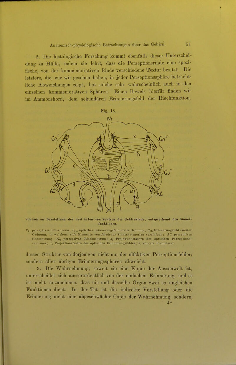 2, Die histologische Forschung kommt ebenfalls dieser Unterschei- dung zu Hülfe, indem sie lehrt, dass die Perzeptionsrinde eine spezi- fische, von der kommemorativen ßiude verschiedene Textur besitzt. Die letztere, die, wie wir gesehen haben, in jeder Perzeptionssphäre beträcht- liche Abweichungen zeigt, hat solche sehr wahrscheinlich auch in den einzelnen kommemorativen Sphären. Einen Beweis hierfür finden wir im Ammonshorn, dem sekundären Erinnerungsfeld der Riechfunktion, Fig. 18. Schema zur Darstellnng der drei Arten von Zentren der Gehirnrinde, entsprechend den Sinnos- fnnktionen. Vi, perzeptlves Sehzentrum; Coi, optiecheB Brinnerungsfeld erster Ordnung; Coi, Erinnerungsfeld zweiter Ordnung, in welchem sich Elemente verschiedener Sinneskategorien Tereinigen; AC, perzeptives Hörzentrum; OL, perzeptives Eiechzeutrum; a, Projektiousfaaern des optischen Perzeptions- zentrums; c, Projektionsfasern des optischen Eriuneruugsfeldes; 6, vordere Kommissur. dessen Struktur von derjenigen nicht nur der olfaktiveu Perzeptionsfelder» sondern aller übrigen Erinnerungssphären abweicht. 3. Die Wahrnehmung, soweit sie eine Kopie der Aussen weit ist, unterscheidet sich ausserordentlich von der einfachen Erinnerung, und es ist nicht anzunehmen, dass ein und dasselbe Organ zwei so ungleichen Funktionen dient. In der Tat ist die indirekte Vorstellung oder die Erinnerung nicht eine abgeschwächte Copie der Wahrnehmung, sondern, 4*