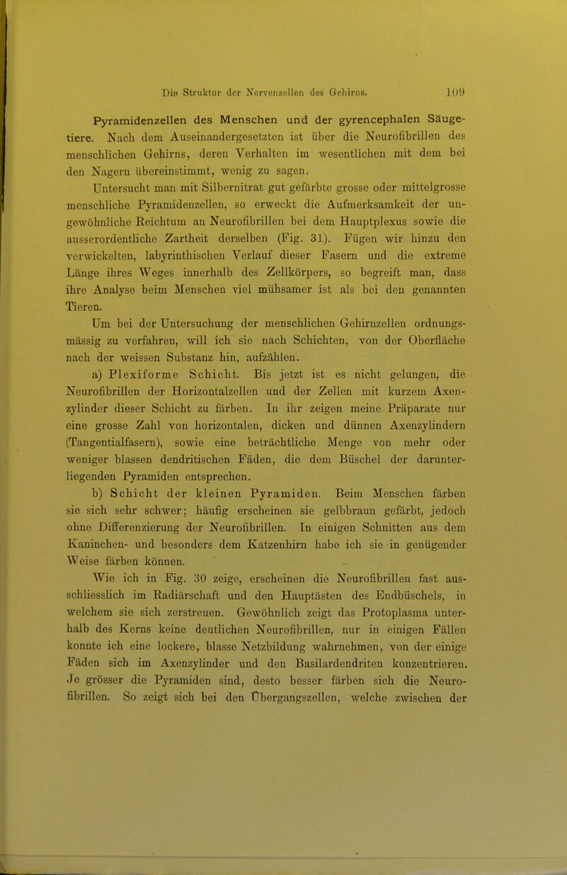 Pyramidenzellen des Menschen und der gyrencephalen Säuge- tiere. Nach dem Auseinandergesetzten ist über die Neurofibrillen des menschlichen Gehirns, deren Verhalten im wesentlichen mit dem bei den Nagern übereinstimmt, wenig zu sagen. Untersucht man mit Silbernitrat gut gefärbte grosse oder mittelgrosse menschliche Pyramideuzellen, so erweckt die Aufmerksamkeit der un- gewöhnliche Reichtum an Neurofibrillen bei dem Hauptplexus sowie die ausserordentliche Zartheit derselben (Fig. 31). Fügen wir hinzu den vorwickelten, labyrinthischen Verlauf dieser Fasern und die extreme Länge ihres Weges innerhalb des Zellkörpers, so begreift man, dass ihre Analyse beim Menschen viel mühsamer ist als bei den genannten Tieren. Um bei der Untersuchung der menschlichen Gehirnzellen ordnungs- mässig zu verfahren, will ich sie nach Schichten, von der Oberfläche nach der weissen Substanz hin, aufzählen. a) Plexiforme Schicht. Bis jetzt ist es nicht gelungen, die Neurofibrillen der Horizontalzellen und der Zellen mit kurzem Axen- zylinder dieser Schicht zu färben. In ihr zeigen meine Präparate nur eine grosse Zahl von horizontalen, dicken und dünnen Axenzylindern (Tangentialfasem), sowie eine beträchtliche Menge von mehr oder weniger blassen dendritischen Fäden, die dem Büschel der darunter- liegenden Pyramiden entsprechen. b) Schicht der kleinen Pyramiden. Beim Menschen färben sie sich sehr schwer; häufig erscheinen sie gelbbraun gefärbt, jedoch ohne Differenzierung der Neurofibrillen. In einigen Schnitten aus dem Kaninchen- und besonders dem Katzenhirn habe ich sie in genügender Weise färben können. Wie ich in Fig. 30 zeige, erscheinen die Neurofibrillen fast aus- schliesslich im ßadiärschaft und den Hauptästen des Endbüschels, in welchem sie sich zerstreuen. Gewöhnlich zeigt das Protoplasma unter- halb des Kerns keine deutlichen Neurofibrillen, nur in einigen Fällen konnte ich eine lockere, blasse Netzbildung wahrnehmen, von der einige Fäden sich im Axenzylinder und den Basilardendriten konzentrieren. Je grösser die Pyramiden sind, desto besser färben sich die Neuro- fibrillen. So zeigt sich bei den Übergangszellon, welche zwischen der