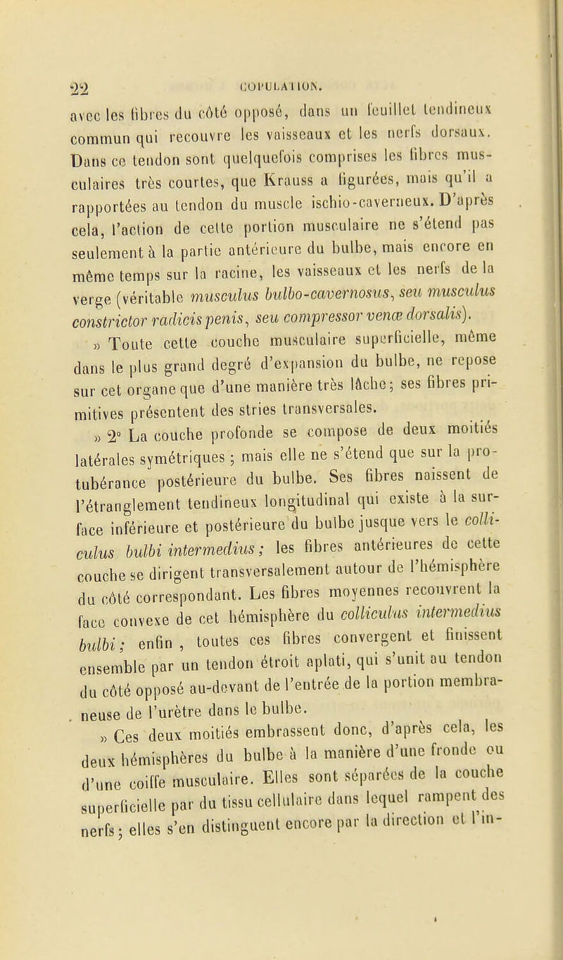 •2^2 CO I'U LAI ION. avec les libres du côté opposé, dans un l'euillet Icndinciix commun qui recouvre les vaisseaux et les nerfs dorsaux. Dans ce tendon sont quelquefois comprises les libres mus- culaires très courtes, que Krauss a ligurées, mais qu'il a rapportées au tendon du muscle ischio-caverneux. D'après cela, l'action de celte portion musculaire ne s'étend pas seulement à la partie antérieure du bulbe, mais encore en même temps sur la racine, les vaisseaux et les nerfs de la verge (véritable musciilus bulbo-cavernosus, seu musculus constrictor radicis penis, seu compressor venœ dorsalis). » Toute cette couche musculaire superficielle, môme dans le plus grand degré d'expansion du bulbe, ne repose sur cet organe que d'une manière très lâche; ses fibres pri- mitives présentent des stries transversales. » 2 La couche profonde se compose de deux moitiés latérales symétriques ; mais elle ne s'étend que sur la pro- tubérance postérieure du bulbe. Ses fibres naissent de l'étranglement tendineux longitudinal qui existe à la sur- face inférieure et postérieure du bulbe jusque vers le colli- culus bulbi intermedins ; les fibres antérieures de cette couche se dirigent transversalement autour de l'hémisphère du côté correspondant. Les fibres moyennes recouvrent la face convexe de cet hémisphère du colliculus intermedins bnlbi; enfin, toutes ces fibres convergent et finissent ensemble par un tendon étroit aplati, qui s'unit au tendon du côté opposé au-devant de l'entrée de la portion membra- neuse de l'urètre dans le bulbe. « Ces deux moitiés embrassent donc, d'après cela, les deux hémisphères du bulbe à la manière d'une fronde ou d'une coiffe musculaire. Elles sont séparées de la couche superficielle par du tissu cellulaire dans lequel rampent des nerfs - elles s'en distinguent encore par la direction et I'm-