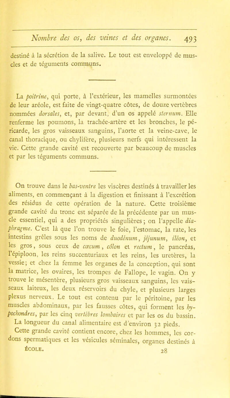 destiné à la sécrétion de la salive. Le tout est enveloppé de mus- cles et de téguments communs. La poitrine, qui porte, à l'extérieur, les mamelles surmontées de leur aréole, est faite de vingt-quatre côtes, de douze vertèbres nommées dorsales, et, par devant, d'un os appelé sternum. Elle renferme les poumons, la trachée-artère et les bronches, le pé- ricarde, les gros vaisseaux sanguins, l'aorte et la veine-cave, le canal thoracique, ou chylifère, plusieurs nerfs qui intéressent la vie. Cette grande cavité est recouverte par beaucoup de muscles et par les téguments communs. On trouve dans le bas-ventre les viscères destinés à travailler les aliments, en commençant à la digestion et finissant à l'excrétion des résidus de cette opération de la nature. Cette troisième grande cavité du tronc est séparée de la précédente par un mus- cle essentiel, qui a des propriétés singulières ; on l'appelle dia- phragme. C'est là que l'on trouve le foie, l'estomac, la rate, les intestins grêles sous les noms de duodénum, jéjunum, iléon, et les gros, sous ceux de cœcum, côlon et rectum, le pancréas, l'épiploon, les reins succenturiaux et les reins, les uretères, la vessie; et chez la femme les organes de la conception, qui sont la matrice, les ovaires, les trompes de Fallope, le vagin. On y trouve le mésentère, plusieurs gros vaisseaux sanguins, les vais- seaux laiteux, les deux réservoirs du chyle, et plusieurs larges plexus nerveux. Le tout est contenu par le péritoine, par les muscles abdominaux, par les fausses côtes, qui forment les hy- pochondres, par les cinq vertèbres lombaires et par les os du bassin. La longueur du canal aHmentaire est d'environ 32 pieds. Cette grande cavité contient encore, chez les hommes, les cor- dons spermatiques et les vésicules séminales, organes destinés i ÉCOLE. ,0