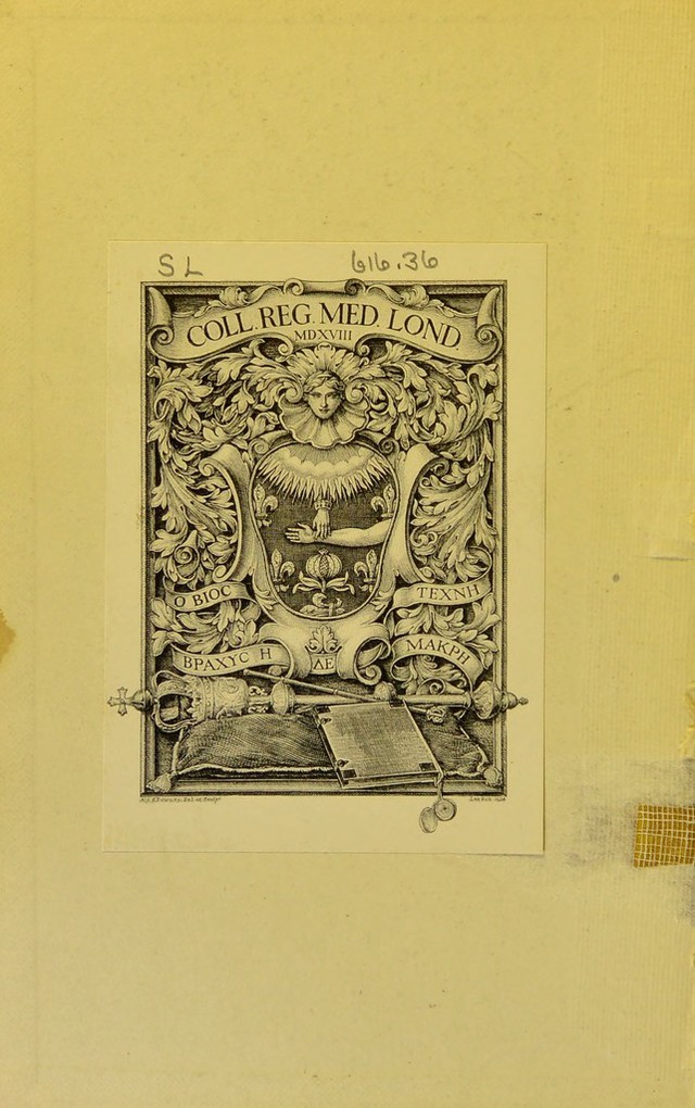 digitised image 2
