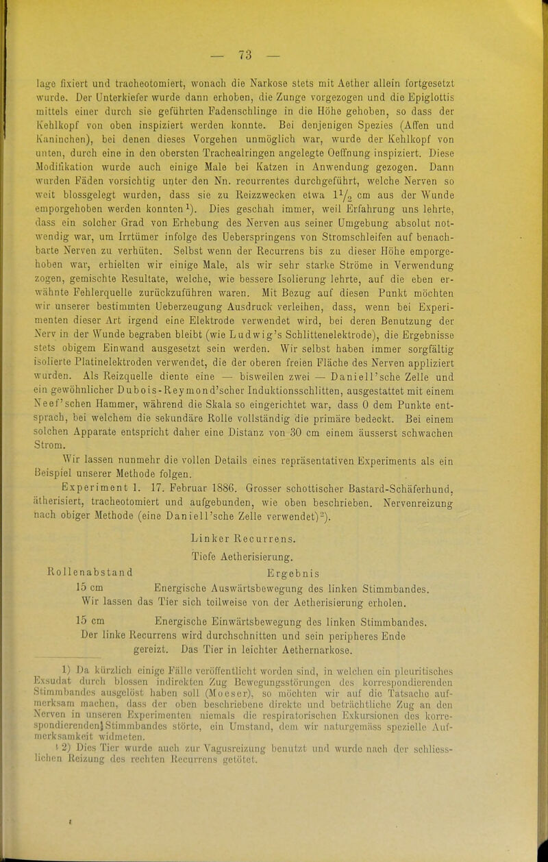 läge fixiert und tracheotomiert, wonach die Narkose stets mit Aether allein fortgesetzt wurde. Der Unterkiefer wurde dann erhoben, die Zunge vorgezogen und die Epiglottis mittels einer durch sie geführten Fadenschlinge in die Höhe gehoben, so dass der ivehlkopf von oben inspiziert werden konnte. Bei denjenigen Spezies (Affen und Kaninchen), bei denen dieses Vorgehen unmöglich war, wurde der Kehlkopf von unten, durch eine in den obersten Tracheairingen angelegte Oeffnung inspiziert. Diese Modifikation wurde auch einige Male bei Katzen in Anwendung gezogen. Dann wurden Fäden vorsichtig unter den Nn. recurrentes durchgeführt, welche Nerven so weit blossgelegt wurden, dass sie zu Reizzwecken etwa cm aus der Wunde emporgehoben werden konnten 1). Dies geschah immer, weil Erfahrung uns lehrte, dass ein solcher Grad von Erhebung des Nerven aus seiner Umgebung absolut not- wendig war, um Irrtümer infolge des Ueberspringens von Stromschleifen auf benach- barte Nerven zu verhüten. Selbst wenn der Recurrens bis zu dieser Höhe emporge- hoben war, erhielten wir einige Male, als wir sehr starke Ströme in Verwendung zogen, gemischte Resultate, welche, wie bessere Isolierung lehrte, auf die eben er- wähnte Fehlerquelle zurückzuführen waren. Mit Bezug auf diesen Punkt möchten wir unserer bestimmten Ueberzeugung Ausdruck verleihen, dass, wenn bei Experi- menten dieser Art irgend eine Elektrode verwendet wird, bei deren Benutzung der Nerv in der Wunde begraben bleibt (wie Lud wig's Schlittenelektrode), die Ergebnisse stets obigem Einwand ausgesetzt sein werden. Wir selbst haben immer sorgfältig isolierte Platinelektroden verwendet, die der oberen freien Fläche des Nerven appliziert wurden. Als Reizquelle diente eine — bisweilen zwei — Daniell'sche Zelle und ein gewöhnlicher Dubois-Reymond'scher Induktionsschlitten, ausgestattet mit einem Neef'schen Hammer, während die Skala so eingerichtet war, dass 0 dem Punkte ent- sprach, bei welchem die sekundäre Rolle vollständig die primäre bedeckt. Bei einem solchen Apparate entspricht daher eine Distanz von 30 cm einem äusserst schwachen Strom. Wir lassen nunmehr die vollen Details eines repräsentativen Experiments als ein Beispiel unserer Methode folgen. Experiment 1. 17. Februar 1886. Grosser schottischer Bastard-Schäferhund, ätherisiert, tracheotomiert und aufgebunden, wie oben beschrieben. Nervenreizung nach obiger Methode (eine Daniell'sche Zelle verwendet)-). Linker Recurrens. Tiefe Aetherisierung. Rollenabstand Ergebnis 15 cm Energische Auswärtsbewegung des linken Stimmbandes. Wir lassen das Tier sich teilweise von der Aetherisierung erholen. 15 cm Energische Einwärtsbewegung des linken Stimmbandes. Der linke Recurrens wird durchschnitten und sein peripheres Ende gereizt. Das Tier in leichter Aethernarkoso. 1) Da kürzlich einige Fälle veröffentlicht worden sind, in welchen ein plcuritisclics Exsudat durch blossen indirekten Zug Bewegungsstörungen des korrespondierenden Stimmbandos aiisgclösi; haben soll (Mocscr), so möchten wir auf die Tatsache auf- mcrksani machen, dass der oben beschriebene direkte und beträchtliche Zug an den Nerven in unseren Kxpcrimenlcii niemals die respiratorischen Exkursionen des korre- .spondierendcnjStimmbandes störte, ein Umstand, dem wir naturgcmiiss spezielle Auf- merksamkeit widmeten. '-2) Dies Tier wurde auch zur Vagusreizung benutzt und wurde nach der schliess- liclien Reizung des rechten Recurrens getötet. t