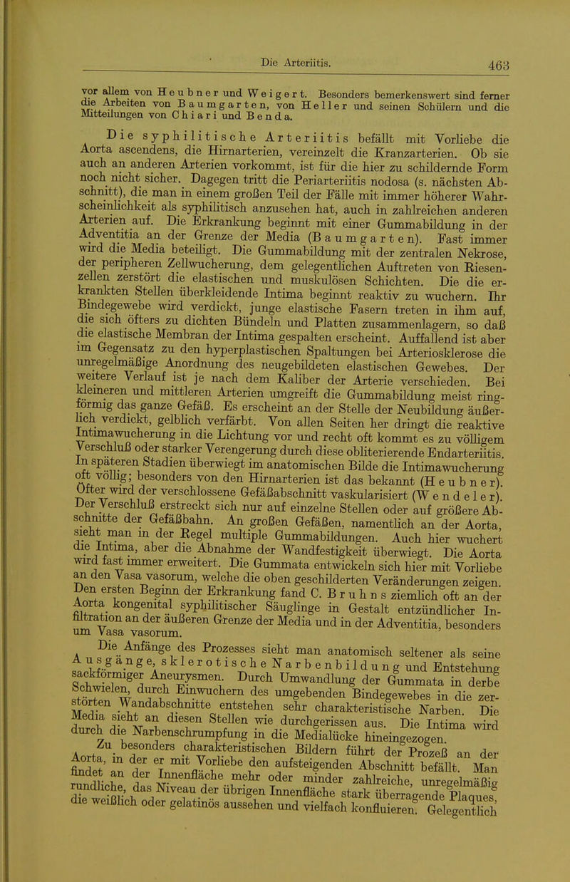 vor aUem von H e u b n e r und W e i g e r t. Besonders bemerkenswert sind femer dae Arbeiten von Bau mg arten, von Heller und seinen Schülern und die Mitteilungen von C h i a r i und B e n d a. Die syphilitische Arteriitis befällt mit Vorliebe die Aorta ascendens, die Hirnarterien, vereinzelt die Kranzarterien. Ob sie auch an anderen Arterien vorkommt, ist für die hier zu schildernde Form noch nicht sicher. Dagegen tritt die Periarteriitis nodosa (s. nächsten Ab- schnitt), die man in einem großen Teil der Fälle mit immer höherer Wahr- scheinlichkeit als syphilitisch anzusehen hat, auch in zahlreichen anderen Arterien auf. Die Erkrankung beginnt mit einer Gummabildung in der Adventitia an der Grenze der Media (Baumgarten). Fast i mm er wird die Media beteüigt. Die Gummabildung mit der zentralen Nekrose, der peripheren Zellwucherung, dem gelegentlichen Auftreten von Riesen- zellen zerstört die elastischen und muskulösen Schichten. Die die er- krankten Stellen überkleidende Intima beginnt reaktiv zu wuchern Ihr Bindegewebe wird verdickt, junge elastische Fasern treten in ihm auf, die sich öfters zu dichten Bündeln und Platten zusammenlagern, so daß die elastische Membran der Intima gespalten erscheint. Auffallend ist aber im Gegensatz zu den hyperplastischen Spaltungen bei Arteriosklerose die unregelmäßige Anordnung des neugebüdeten elastischen Gewebes. Der weitere Verlauf ist je nach dem Kaliber der Arterie verschieden. Bei klemeren und mittleren Arterien umgreift die Gummabildung meist ring- förmig das gan^e Gefäß. Es erscheint an der SteUe der Neubildung äußer- lich verdickt, gelbhch verfärbt. Von allen Seiten her dringt die reaktive Intimawucherung m die Lichtung vor und recht oft kommt es zu völligem Verschluß oder starker Verengerung durch diese obliterierende Endarteriitis. In spateren Stadien überwiegt im anatomischen Bilde die Intimawucherung Ott volüg; besonders von den Hirnarterien ist das bekannt (H e u b n e r) Utter wird der verschlossene Gefäßabschnitt vaskularisiert (W e n d e 1 e r Der Verschluß erstreckt sich nur auf einzelne SteUen oder auf größere Ab- schnitte der Gefäßbahn. An großen Gefäßen, namentlich an der Aorta, sieht man m der Regel multiple Gummabildungen. Auch hier wuchert die Intima, aber die Abnahme der Wandfestigkeit überwiegt. Die Aorta wird fast immer erweitert. Die Gummata entwickeln sich hier mit VorHebe an den Vasa vasorum, welche die oben geschilderten Veränderungen zeigen. Den ersten Beginn der Erkrankung fand C. B r u h n s ziemHch oft an der Aorta kongenital syphilitischer Säuglinge in Gestalt entzündlicher In- ültration an der äußeren Grenze der Media und in der Adventitia, besonders um Vasa vasorum. Die Anfänge des Prozesses sieht man anatomisch seltener als seine LHn?r^-''^'Ä^^''°*''^^'^^^^'^ildungund Entstehung twll Aneurysmen Duxch Umwandlung der Gummata in derb! Schwielen durch Emwuchern des umgebenden Bindegewebes in die zer- störten Wandabschnitte entstehen sehr charakteristische Narben dL di: N^h ^T ^'f-ie durchgerissen aus. Die Intima wkd durch die Narbenschrumpfung m die Medialücke hineingezogen Aort^in ITf'' .f^^^kteristischen Bildern führt der Prozeß an der Met Tn Z T ^^^^ den aufsteigenden Abschnitt befällt. Man hndet an der Innenflache mehr oder minder zahheiche, unreeelmäßia r 'm' ^das Niveau der übrigen Imienfläche stark überrageSlrues^ die weißlich oder gelatinös aussehen und vielfach konfluieren^ Geleg^^^^^^^^^