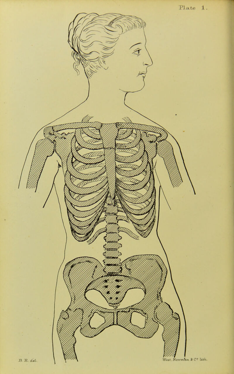 Plate 1 .