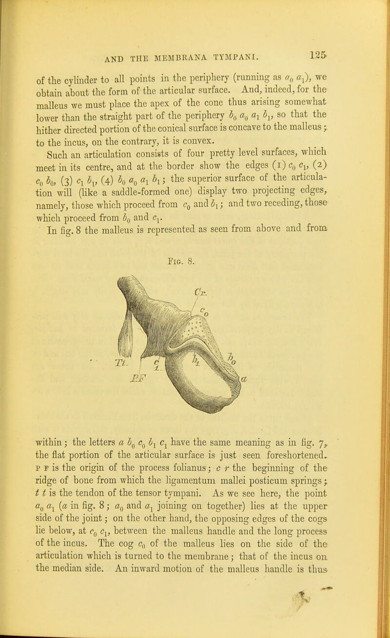 of the cylinder to all points in the periphery (running as a^, «,), we obtain about the form of the articular surface. And, indeed, for the malleus we must place the apex of the cone thus arising somewhat lower than the straight part of the periphery bf, l^, so that the hither directed portion of the conical surface is concave to the malleus;. to the incus, on the contrary, it is convex. Such an articulation consists of four pretty level surfaces, which meet in its centre, and at the border show the edges (i) Co C\, (2) Co ^0, (3) ('i K (4) ^0 «o ^1 ^1' superior surface of the articula- tion will (Uke a saddle-formed one) display two projecting edges, namely, those which proceed from c^^ and ; and two receding, those which proceed from and Cj. In fig. 8 the malleus is represented as seen from above and from Fig. 8. within; the letters a b^ Cj have the same meaning as in fig. the flat portion of the articular surface is just seen foreshortened, p r is the origin of the process folianus; c r the beginning of the ridge of bone from which the ligaraentum mallei posticum springs; ^ ^ is the tendon of the tensor tympani. As we see here, the point «(, «j {a in fig. 8; and «j joining on together) lies at the upper side of the joint; on the other hand, the opposing edges of the cogs lie below, at Cj, between the malleus handle and the long process of the incus. The cog Cj, of the malleus lies on the side of the- articulation which is turned to the membrane; that of the incus on the median side. An inward motion of the malleus handle is thus