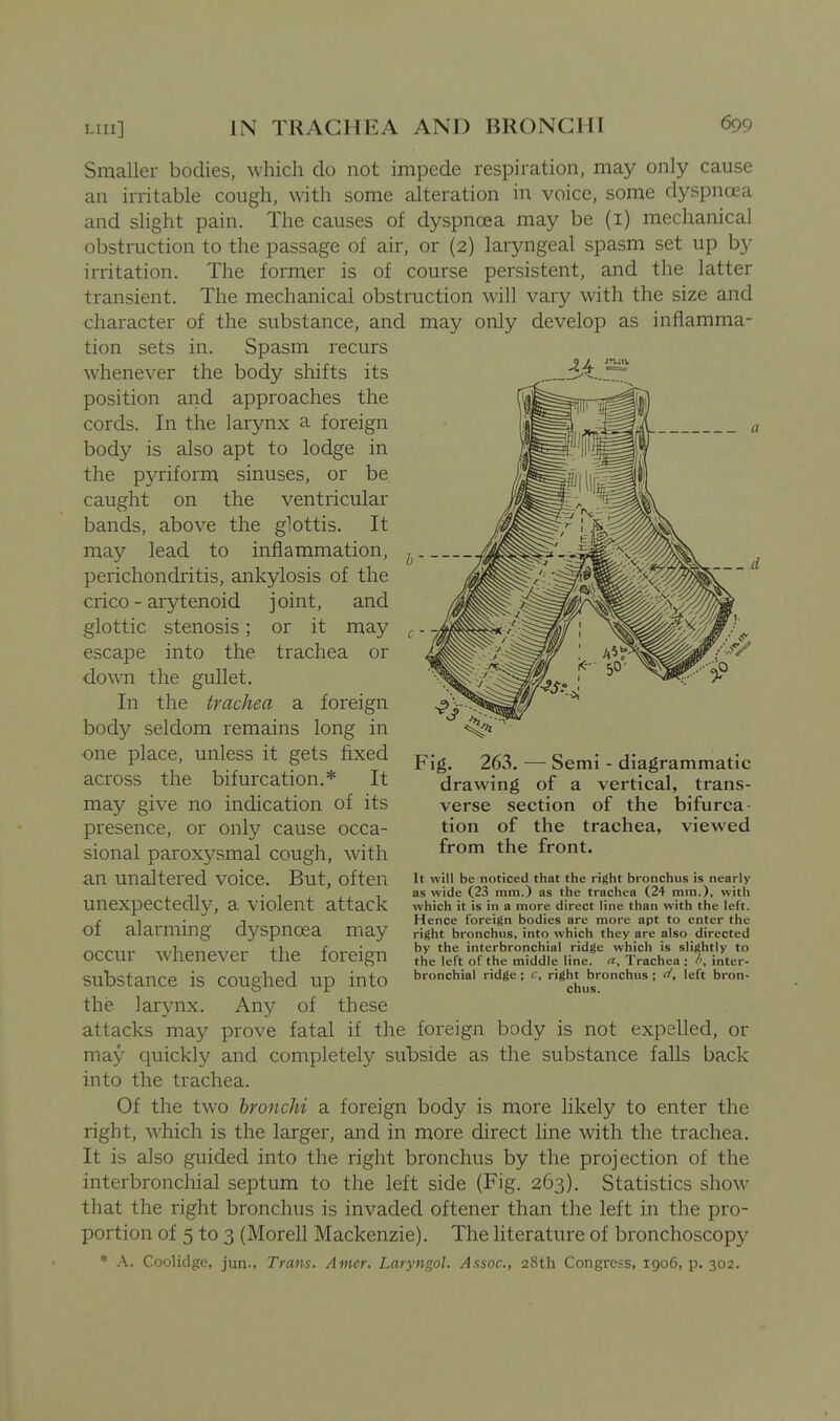 Smaller bodies, Nvhich do not impede respiration, may only cause an irritable cough, with some alteration in voice, some dyspnoea and slight pain. The causes of dyspnoea may be (i) mechanical obstruction to the passage of air, or (2) laryngeal spasm set up by irritation. The former is of course persistent, and the latter transient. The mechanical obstruction will vary with the size and character of the substance, and may only develop as inflamma- tion sets in. Spasm recurs whenever the body shifts its position and approaches the cords. In the larynx a foreign body is also apt to lodge in the pyriform sinuses, or be caught on the ventricular bands, above the glottis. It may lead to inflammation, perichondritis, ankylosis of the crico - arytenoid joint, and glottic stenosis; or it may escape into the trachea or down the gullet. In the trachea a foreign body seldom remains long in one place, unless it gets fixed across the bifurcation.* It may give no indication of its presence, or only cause occa- sional paroxysmal cough, with an unaltered voice. But, often unexpectedly, a violent attack of alarming dyspnoea may occur whenever the foreign substance is coughed up into the larynx. Any of these attacks may prove fatal if the foreign body is not expelled, or may quickly and completely subside as the substance falls back into the trachea. Of the two bronchi a foreign body is more likely to enter the right, which is the larger, and in more direct line with the trachea. It is also guided into the right bronchus by the projection of the interbronchial septum to the left side (Fig. 263), Statistics show that the right bronchus is invaded oftener than the left in the pro- portion of 5 to 3 (Morell Mackenzie). The literature of bronchoscopy * A. Coolidge, jun., Trans. Amer. Laryngol. Assoc., 28th Congress, 1906, p. 302. Fig. 263. — Semi - diagrammatic drawing of a vertical, trans- verse section of the bifurca- tion of the trachea, viewed from the front. It will be noticed that the right bronchus is nearly as wide (23 mm.) as the trachea (24 mm.), with which it is in a more direct line than with the left. Hence foreign bodies are more apt to enter the right bronchus, into which they are also directed by the interbronchial ridge which is slightly to the left of the middle line. Trachea ; inter- bronchial ridge ; c, right bronchus ; t^, left bron- chus.