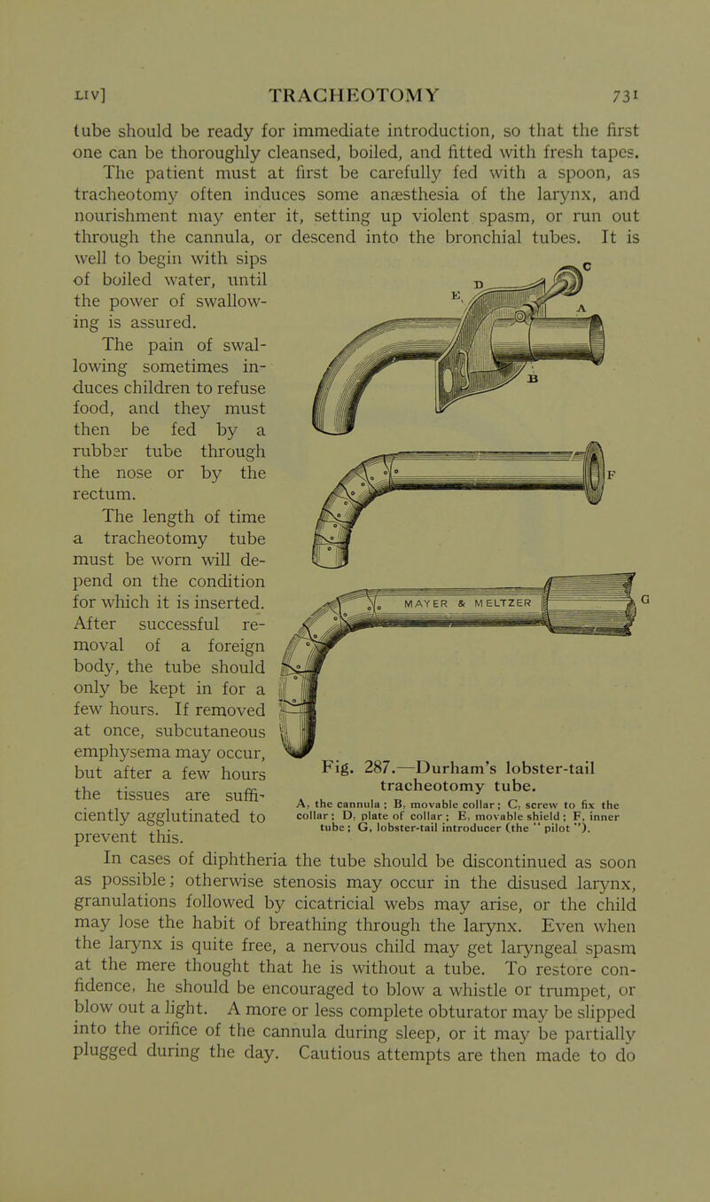 tube should be ready for immediate introduction, so that the first one can be thoroughly cleansed, boiled, and fitted with fresh tapes. The patient must at first be carefully fed with a spoon, as tracheotomy often induces some anaesthesia of the larynx, and nourishment may enter it, setting up violent spasm, or run out through the cannula, or descend into the bronchial tubes. It is well to begin with sips of boiled water, until the power of swallow- ing is assured. The pain of swal- lowing sometimes in- duces children to refuse food, and they must then be fed by a rubber tube through the nose or by the rectum. The length of time a tracheotomy tube must be worn will de- pend on the condition for which it is inserted. After successful re- moval of a foreign body, the tube should only be kept in for a few hours. If removed at once, subcutaneous emphysema may occur, but after a few hours the tissues are suffi- ciently agglutinated to prevent this. In cases of diphtheria the tube should be discontinued as soon as possible; otherwise stenosis may occur in the disused larynx, granulations followed by cicatricial webs may arise, or the child may Jose the habit of breathing through the larynx. Even when the larynx is quite free, a nervous child may get laryngeal spasm at the mere thought that he is without a tube. To restore con- fidence, he should be encouraged to blow a whistle or trumpet, or blow out a light. A more or less complete obturator may be slipped into the orifice of the cannula during sleep, or it may be partially plugged during the day. Cautious attempts are then made to do 287.—Durham's lobster-tail tracheotomy tube. A, the cannula ; B, movable collar; C, screw to fix the collar ; D, plate of collar ; E, movable shield ; F, inner tube; G, lobster-tail introducer (the  pilot ).