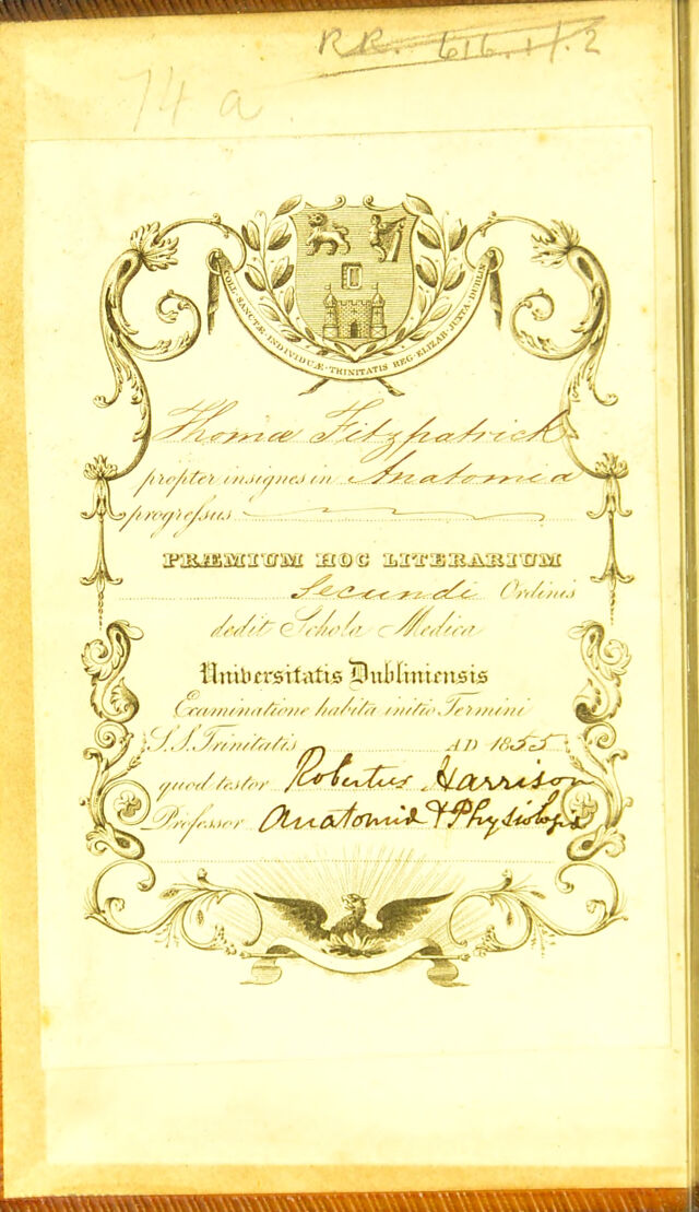 digitised image 2