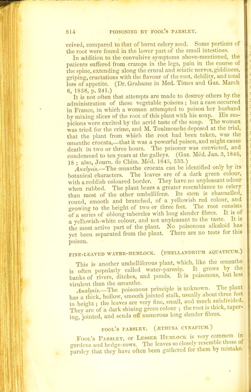 ceived, compared to that of burnt celery seed. Some portions of the root were found in the lower part of the small intestines. Ill addition to the convulsive symptoms above-mentioned, the patients suifered from cramps in the legs, pain in the course of the spine, extending along the crural and sciatic nerves, giddiness, griping, eructations with the flavour of the root, debility, and total loss of appetite. (Dr. Grahame in Med. Times and Gaz. March 6, 1858, p. 241.) It is not often that attempts are made to destroy others by the administration of these vegetable poisons ; but a case occurred in France, in which a woman attempted to poison her husband by mixing slices of the root of this plant with his soup. His sus- picions were excited by the acrid taste of the soup. The woman ■was tried for the crime, and M. Toulmouche deposed at the trial, that the plant from which the root had been taken, was the cenanthe crocata,—that it was a powerful poison, and might cause death in two or three hours. The prisoner was convicted, and condemned to ten years at the galleys. (Gaz. Med. Jan. 3, 1846, 18 ; also, Jotirn. de Chim. Med. 1845, 533.) Anah/sis.—The ojnanthe crocata can be identified only by its botanical characters. The leaves are of a dark green colour, with a reddish coloured border. They have no unpleasant odour when rubbed. The plant bears a greater resemblance to celery than most of the other umbelliferre. Its stem is channelled, round, smooth and branched, of a yellowish red colour, and o-rowing to the height of two or three feet. The root consists of a series of oblong tubercles with long slender fibres. It is of a yellowish-white colour, and not unpleasant to the taste. It is the most active part of the plant. No poisonous alkaloid has yet been separated from the plant. There are no tests for this poison. FINE-LEAVED WATER-HEMLOCK. (PHELLANDRIUJI AQUATICUJI.) This is another umbelliferous plant, which, like the cen.antho is often popularly called water-parsnip. It grows by the banks of rivers, ditches, and ponds. It is poisonous, but less virulent than tlie ojnanthc. i ♦ Anah/sis.—Tho poisonous principle is unknown. 1 he pl.ant has a thick, hollow, smooth jointed stalk, usually about three feet in hei-ht; the leaves are very fine, small, and much subdivided. They arc of a dark shining green colour ; the root is thick, taper- ing, jointed, and sends otl' numerous long slender fibres. fool's parsley. (.i:tiicsa cynapicm.) Fool's Parsley, or Lesser Hemlock is very common in gardens and hedge-rows. The leaves so closely resemble those ot parsley that they have often been gathered for them by mistake. r II