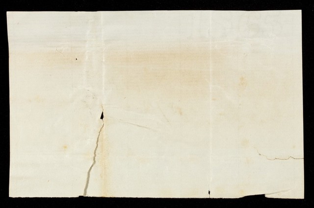 digitised image 2