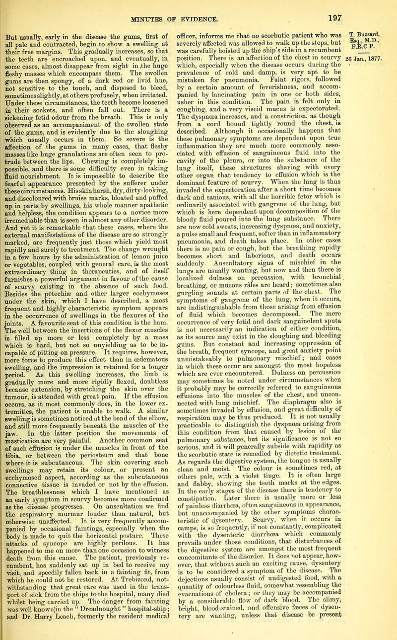 But usually, early in the disease the gums, first of all pale and contracted, begin to show a swelling at their free margins. This gradually increases, so that the teeth are encroached upon, and eventually, in some cases, almost disappear from sight in ,the huge fleshy masses which encompass them. The swollen gums are then spongy, of a dark red or livid hue, not sensitive to the touch, and disposed to bleed, sometimes slightly, at others profusely, when irritated. Under these circumstances, the teeth become loosened in their sockets, and often fall out. There is a sickening fetid odour from the breath. This is only observed as an accompaniment of the swollen state of the gums, and is evidently due to the sloughing which usually occurs in them. So severe is the affection of the gums in .many cases, that fleshy masses like huge granulations are often seen to pro- trude between the lips. Chewing is completely im- possible, and there is some difficulty even in taking fluid nourishment. It is impossible to describe the fearful appearance presented by the sufferer under thesecircumstances. His skin harsh, dry, dirty-looking, and discoloured with bruise marks, bloated and puffed up in parts by swellings, his whole manner apathetic and helpless, the condition appears to a novice more irremediable than is seen in almost any other disorder. And yet it is remarkable that these cases, where the external manifestations of the disease are so strongly marked, are frequently just those which yield most rapidly and surely to treatment. The change wrought in a few hours by the administration of lemon juice or vegetables, coupled with general care, is the most extraordinary thing in therapeutics, and of itself furnishes a powerful argument in favour of the cause of scurvy existing in the absence of such food. Besides the petechias and other larger ecchymoses under the skin, which I have described, a most frequent and highly characteristic symptom appears in the occurrence of swellings in the flexures of the joints. A favourite seat of this condition is the ham. The well between the insertions of the flexor muscles is filled up more or less completely by a mass which is hard, but not so unyielding as to be in- capable of pitting on pressure. It requires, however, more force to produce this effect than in cedematous swelling, and the impression is retained for a longer period. As this swelling increases, the limb is gradually more and more rigidly flexed, doubtless because extension, by stretching the skin over the tumour, is attended with great pain. If the effusion occurs, as it most commonly does, in the lower ex- tremities, the patient is unable to walk. A similar swelling is sometimes noticed at the bend of the elbow, and still more frequently beneath the muscles of the jaw. In the latter position the movements of mastication are very painful. Another common seat of such effusion is under the muscles in front of the tibia, or between the periosteum and that bone where it is subcutaneous. The skin covering such swellings may retain its colour, or present an ecchymosed aspect, according as the subcutaneous connective tissue is invaded or not by the effusion. The breathlessness which I have mentioned as an early symptom in scurvy becomes more confirmed as the disease progresses. On auscultation we find the respiratory murmur louder than natural, but otherwise unaffected. It is very frequently accom- panied by occasional faintings, especially when the body is made to quit the horizontal posture. These attacks of syncope are highly perilous. It has happened to me on more than one occasion to witness death from this cause. The patient, previously re- cumbent, has suddenly sat up in bed to receive my visit, and speedily fallen back in a fainting fit, from which he could not be restored. At Trebizond, not- withstanding that great care was used in the trans- port of sick from tbe ships to the hospital, many died whilst being carried up. The danger from fainting was well knownjin the  Dreadnought  hospital-ship; and Dr. Harry Leach, formerly the resident medical officer, informs me that no scorbutic patient who was T. Buzzard, severely affected was allowed to walk up the steps, but j^gp ' was carefully hoisted up the ship's side in a recumbent ' position. There is an affection of the chest in scurvy 26 Jan., 1877. which, especially when the disease occurs during the ■ prevalence of cold and damp, is very apt to be mistaken for pneumonia. Faint rigors, followed by a certain amount of feverishness, and accom- panied by lancinating pain in one or both sides, usher in this condition. The pain is felt only in coughing, and a very viscid mucus is expectorated. The dyspnoea increases, and a constriction, as though from a cord bound tightly round the chest, is described. Although it occasionally happens that these pulmonary symptoms are dependent upon true inflammation they are much more commonly asso- ciated with effusion of sanguineous fluid into the cavity of the pleura, or into the substance of the lung itself, these structures sharing with every other organ that tendency to effusion which is the dominant feature of scurvy. When the lung is thus invaded the expectoration after a short time becomes dark and sanious, with all the horrible fetor which is ordinarily associated with gangrene of the lung, but which is here dependent upon' decomposition of the bloody fluid poured into the lung substance. There are now cold sweats, increasing dyspnoea, and anxiety, a pulse small and frequent, softer than in inflammatory pneumonia, and death takes place. In other cases there is no pain or cough, but the breathing rapidly becomes short and laborious, and death occurs suddenly. Auscultatory signs of mischief in the lungs are usually wanting, but now and then there is localized dulness on percussion, with bronchial. breathing, or mucous rales are heard; sometimes also gurgling sounds at certain parts of the chest. The symptoms of gangrene of the lung, when it occurs, are indistinguishable from those arising from effusion of fluid which becomes decomposed. The mere occurrence of very fetid and dark sanguinolent sputa is not necessarily an indication of either condition, as its source may exist in the sloughing and bleeding gums. But constant and increasing oppression of the breath, frequent syncope, and great anxiety point unmistakeably to pulmonary mischief; and cases in which these occur are amongst the most hopeless which are ever encountered. Dulness on percussion may sometimes be noted under circumstances^ when it probably may be correctly referred to sanguineous effusions into the muscles of the chest, and uncon- nected with lung mischief. The diaphragm also is sometimes invaded by effusion, and great difficulty of respiration may be thus produced. It is not usually practicable to distinguish the dyspnoea arising from this condition from that caused by lesion of the pulmonary substance, but its significance is not so serious, and it will generally subside with rapidity as the scorbutic state is remedied by dietetic treatment. As regards the digestive system, the tongue is usually clean and moist. The colour is sometimes red, at others pale, with a violet tinge. It is often large and flabby, showing the teeth marks at the edges. In the early stages of the disease there is tendency to constipation. Later there is usually more or less of painless diarrhoea, often sanguineous in appearance, but unaccompanied by the other symptoms charac- teristic of dysentery. Scurvy, when it occurs in camps, is so frequently, if not constantly, complicated . with the dysenteric diarrhoea which commonly prevails under those conditions, that disturbances of the digestive system are amongst the most frequeut concomitants of the disorder. It does not appear, how- ever, that without such an exciting cause, dysentery is to be considered a symptom of the disease. The dejections usually consist of undigested food, with a quantity of colourless fluid, somewhat resembling the evacuations of cholera; or they may be accompanied by a considerable flow of dark blood. The slimy, bright, blood-stained, and offensive fasces of dysen- tery are wanting, unless that disease be present
