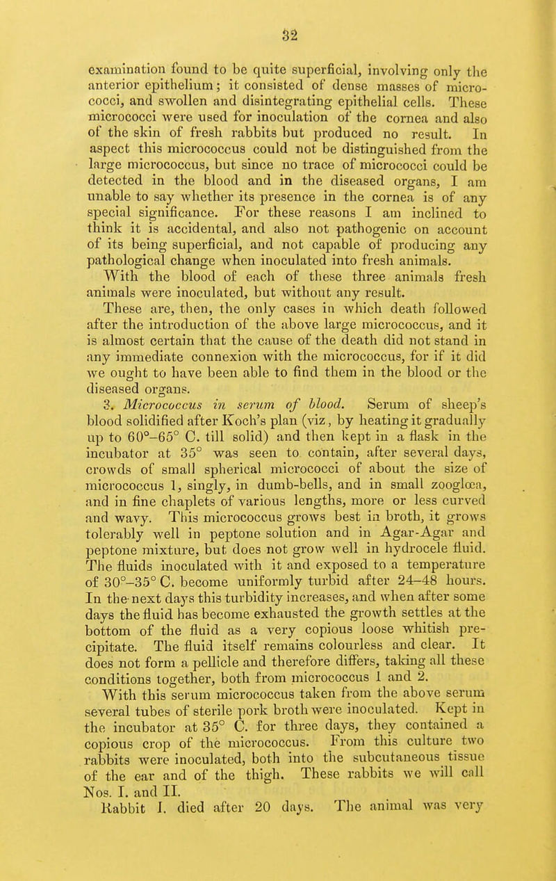 S2 examination found to be quite superficial, involving only the anterior epithelium; it consisted of dense masses of micro- cocci, and swollen and disintegrating epithelial cells. These micrococci were used for inoculation of the cornea and also of the skin of fresh rabbits but produced no result. In aspect this micrococcus could not be distinguished from the large micrococcus, but since no trace of micrococci could be detected in the blood and in the diseased organs, I am unable to say whether its presence in the cornea is of any special significance. For these reasons I am inclined to think it is accidental, and also not pathogenic on account of its being superficial, and not capable of producing any pathological change when inoculated into fresh animals. With the blood of each of these three animals fresh animals were inoculated, but without any result. These are, then, the only cases in Avhich death followed after the introduction of the above large micrococcus, and it is almost certain that the cause of the death did not stand in any immediate connexion with the micrococcus, for if it did we ought to have been able to find them in the blood or the diseased organs. 3. Micrococcus in serum of blood. Serum of sheep's blood solidified after Koch's plan (viz, by heating it gradually up to 6()°-65° C. till solid) and then kept in a flask in the incubator at 35° was seen to contain, after several days, crowds of small spherical micrococci of about the size of micrococcus 1, singly, in dumb-bells, and in small zoogloea, and in fine chaplets of various lengths, more or less curved and wavy. This micrococcus grows best in broth, it grows tolerably well in peptone solution and in Agar-Agar and peptone mixture, but does not grow well in hydrocele fluid. The fluids inoculated with it and exposed to a temperature of 30°-35° C. become uniformly turbid after 24-48 hours. In the-next days this turbidity increases, and when after some days the fluid has become exhausted the growth settles at the bottom of the fluid as a very copious loose whitish pre- cipitate. The fluid itself remains colourless and clear. It does not form a pellicle and therefore differs, talcing all these conditions together, both from micrococcus 1 and 2. With this serum micrococcus taken from the above serum several tubes of sterile pork broth were inoculated. Kept in the incubator at 35° C. for three days, they contained a copious crop of the micrococcus. From this culture two rabbits were inoculated, both into the subcutaneous tissue of the ear and of the thigh. These rabbits we will call Nos. I. and II. Kabbit J. died after 20 days. The animal was very