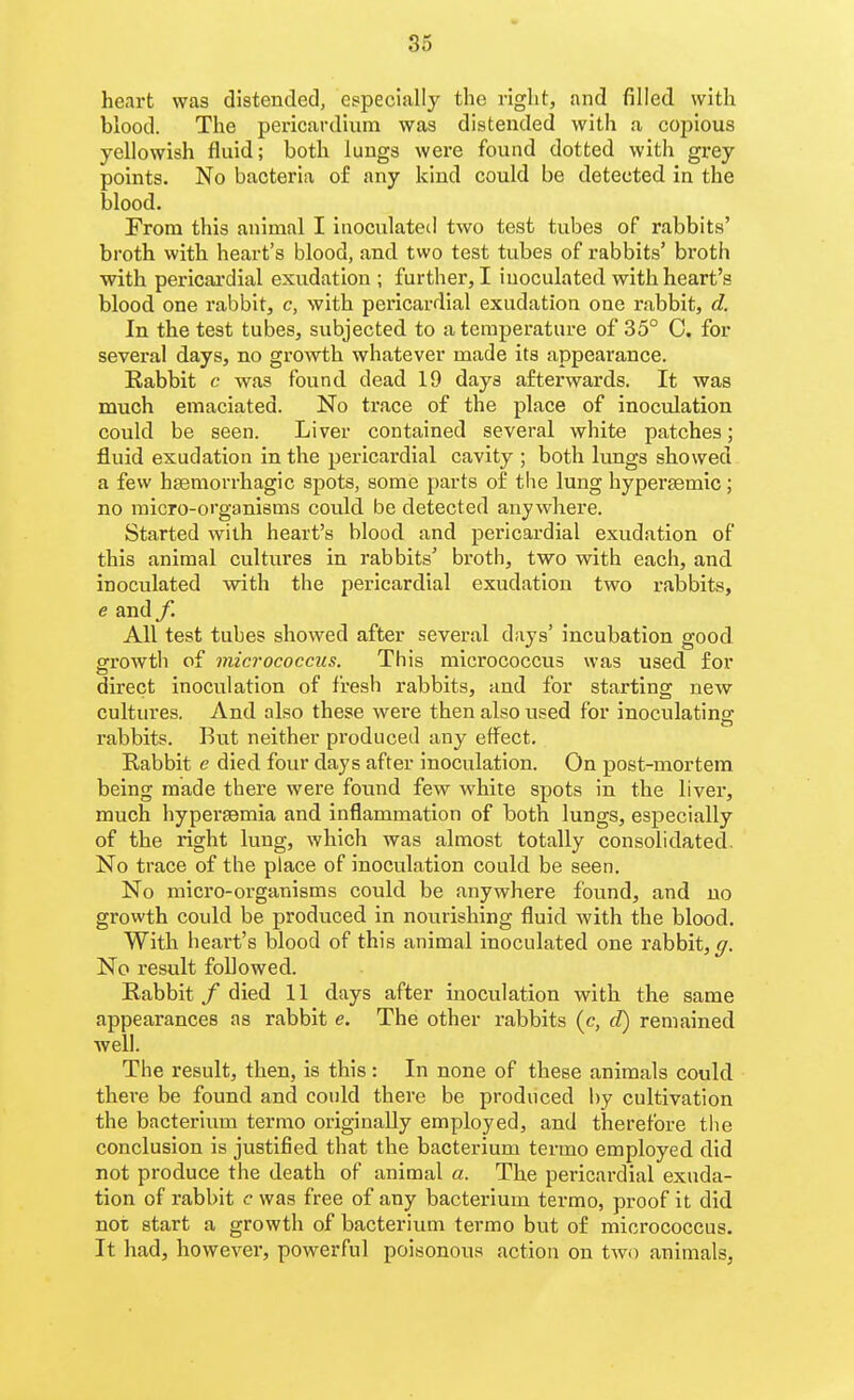 heart was distended, especially the right, and filled with blood. The pericardium was distended with a copious yellowish fluid; both lungs were found dotted with grey points. No bacteria of any kind could be detected in the blood. From this animal I inoculated two test tubes of rabbits' broth with heart's blood, and two test tubes of rabbits' broth with pericardial exudation ; further, I inoculated with heart's blood one rabbit, c, with pericardial exudation one rabbit, d. In the test tubes, subjected to a temperature of 35° C. for several days, no growth whatever made its appearance. Kabbit c was found dead 19 days afterwards. It was much emaciated. No trace of the place of inoculation could be seen. Liver contained several white patches; fluid exudation in the pericardial cavity ; both lungs showed a few htemorrhagic spots, some parts of the lung hypersemic; no micro-organisms could be detected anywhere. Started with heart's blood and pericardial exudation of this animal cultures in rabbits' broth, two with each, and inoculated with the pericardial exudation two rabbits, e and f. All test tubes showed after several days' incubation good, gi'owth of micrococcus. This micrococcus was used for direct inoculation of fresh rabbits, and for starting new cultures. And also these were then also used for inoculating rabbits. But neither produced any effect. Rabbit e died four days after inoculation. On post-mortem being made there were found few white spots in the liver, much hypersemia and inflammation of both lungs, especially of the right lung, which was almost totally consolidated. No trace of the place of inoculation could be seen. No micro-organisms could be anywhere found, and no growth could be produced in nourishing fluid with the blood. With heart's blood of this animal inoculated one rabbit, No result followed. Rabbit / died 11 days after inoculation with the same appearances as rabbit e. The other rabbits (c, d) remained well. The result, then, is this: In none of these animals could there be found and could there be produced by cultivation the bacterium termo originally employed, and therefore the conclusion is justified that the bacterium termo employed did not produce the death of animal a. The pericardial exuda- tion of rabbit c was free of any bacterium termo, proof it did not start a growth of bacterium termo but of micrococcus. It had, however, powerful poisonous action on two animals,