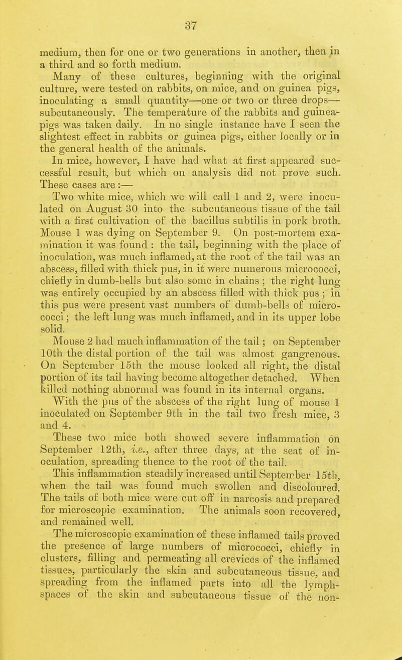 medium, then for one or two generations in another, then in a third and so forth medium. Many of these cultures, beginning with the original culture, were tested on rabbits, on mice, and on guinea pigs, inoculating a small quantity—one or two or three drops— subcutaueously. The temperature of the rabbits and guinea- pigs was taken daily. In no single instance have I seen the slightest effect in rabbits or guinea pigs, either locally or in the general health of the animals. In mice, however, I have had what at first appeared suc- cessful result, but which on analysis did not prove such. These cases are :— Two white mice, which wo will call 1 and 2, were inocu- lated on August 30 into the subcutaneous tissue of the tail with a first cultivation of the bacillus subtilis in pork broth. Mouse 1 was dying on September 9. On post-mortem exa- mination it was found : the tail, beginning with the place of inoculatioi), was much inflamed, at the root of the tail was an abscess, filled with thick pus, in it were numerous micrococci, chiefly in dumb-bells but also some in chains ; the right lung- was entirely occupied by an abscess filled with thick pus ; in this pus were present vast numbers of dumb-bells of micro- cocci ; the left lung was much inflamed, and in its upper lobo solid. Mouse 2 had much, inflannnation of the tail; on September 10th the distal portion of the tail wns almost gangrenous. On September loth the mouse looked all right, the distal portion of its tail having become altogether detached. When killed nothing abnormal was found in its internal organs. With the pus of the abscess of the right lung of mouse 1 inoculated on September 9th in the tail two fresh mice, 3 and 4. These two mice both showed severe inflammation on September 12th, i.e., after three days, at the seat of in- oculation, spreading thence to the root of the tail. This inflammation steadily increased until September 15th, when the tail was found much swollen and discoloured. The tails of both mice were cut off in narcosis and prepared for microscopic examination. The animals soon recovered, and remained well. The microscopic examination of these inflamed tails proved the presence of large numbers of micrococci, chiefly in clusters, filling and permeating all crevices of the inflamed tissues, particularly the skin and subcutaneous tissue, and .spreading from the inflamed parts into all the lymph- spaces of the skin and subcutaneous tissue of the non-