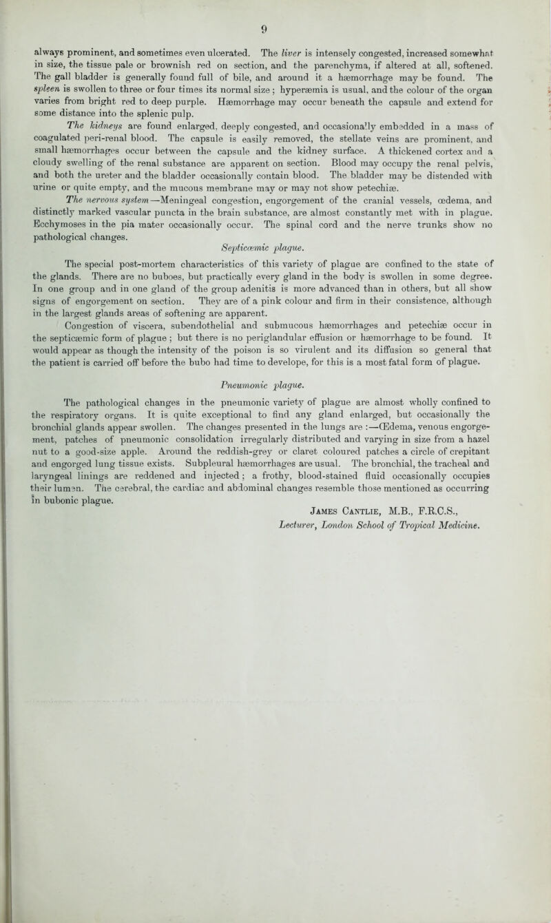 always prominent, and sometimes even ulcerated. The liver is intensely congested, increased somewhat in size, the tissue pale or brownish red on section, and the parenchyma, if altered at all, softened. The gall bladder is generally found full of bile, and around it a haemorrhage may be found. The spleen is swollen to three or four times its normal size ; hyperaemia is usual, and the colour of the organ varies from bright red to deep purple. Haemorrhage may occur beneath the capsule and extend for some distance into the splenic pulp. The kidneys are found enlarged, deeply congested, and occasionally embedded in a mass of coagulated peri-renal blood. The capsule is easily removed, the stellate veins are prominent, and small haemorrhages occur between the capsule and the kidney surface. A thickened cortex and a cloudy swelling of the renal substance are apparent on section. Blood may occupy the renal pelvis, and both the ureter and the bladder occasionally contain blood. The bladder may be distended with urine or quite empty, and the mucous membrane may or may not show petechias. The nervous system—Meningeal congestion, engorgement of the cranial vessels, oedema, and distinctly marked vascular puncta in the brain substance, are almost constantly met with in plague. Ecchymoses in the pia mater occasionally occur. The spinal cord and the nerve trunks show no pathological changes. Septiccemic plague. The special post-mortem characteristics of this variety of plague are confined to the state of the glands. There are no buboes, but practically every gland in the body is swollen in some degree. In one group and in one gland of the group adenitis is more advanced than in others, but all show signs of engorgement on section. They are of a pink colour and firm in their consistence, although in the lai’gest glands areas of softening are apparent. Congestion of viscera, subendothelial and submucous hemorrhages and petechie occur in the septicemic form of plague ; but there is no periglandular effusion or hemorrhage to be found. It would appear as though the intensity of the poison is so virulent and its diffusion so general that the patient is carried off before the bubo had time to develope, for this is a most fatal form of plague. Pneumonic plague. The pathological changes in the pneumonic variety of plague are almost wholly confined to the respiratory organs. It is quite exceptional to find any gland enlarged, but occasionally the bronchial glands appear swollen. The changes presented in the lungs are :—(Edema, venous engorge- ment, patches of pneumonic consolidation irregularly distributed and varying in size from a hazel nut to a good-size apple. Ai’ound the reddish-grey or claret coloured patches a circle of crepitant and engorged lung tissue exists. Subpleural haemorrhages are usual. The bronchial, the tracheal and laiyngeal linings are reddened and injected; a frothy, blood-stained fluid occasionally occupies their lumen. The cerebral, the cardiac and abdominal changes resemble those mentioned as occurring in bubonic plague. James Cantlie, M.B., F.R.C.S., Lecturer, London School of Tropical Medicine.