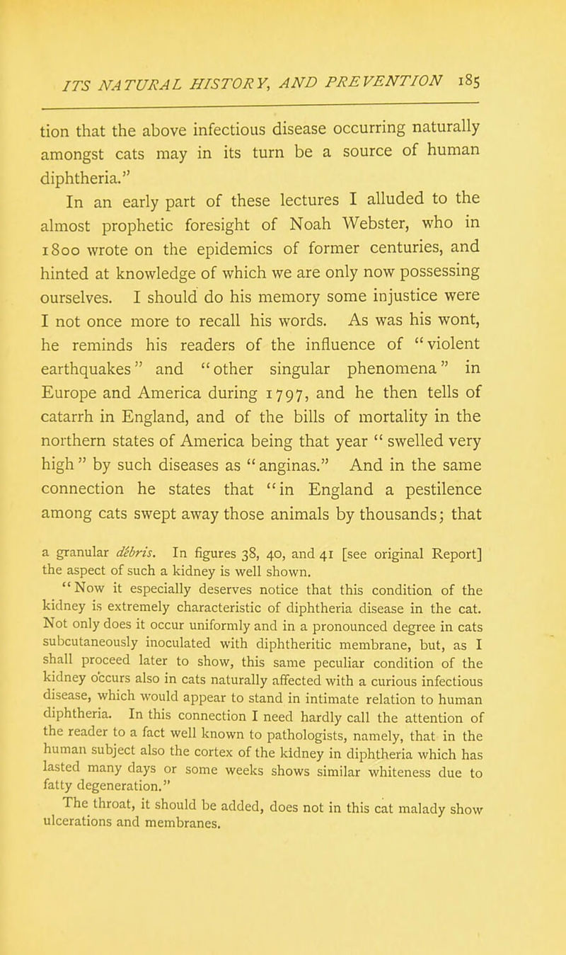 tion that the above infectious disease occurring naturally amongst cats may in its turn be a source of human diphtheria. In an early part of these lectures I alluded to the almost prophetic foresight of Noah Webster, who in 1800 wrote on the epidemics of former centuries, and hinted at knowledge of which we are only now possessing ourselves. I should do his memory some injustice were I not once more to recall his words. As was his wont, he reminds his readers of the influence of violent earthquakes and  other singular phenomena in Europe and America during 1797, and he then tells of catarrh in England, and of the bills of mortality in the northern states of America being that year  swelled very high  by such diseases as  anginas. And in the same connection he states that in England a pestilence among cats swept away those animals by thousands; that a granular d'ebris. In figures 38, 40, and 41 [see original Report] the aspect of such a kidney is well shown. Now it especially deserves notice that this condition of the kidney is extremely characteristic of diphtheria disease in the cat. Not only does it occur uniformly and in a pronounced degree in cats subcutaneously inoculated with diphtheritic membrane, but, as I shall proceed later to show, this same peculiar condition of the kidney occurs also in cats naturally affected with a curious infectious disease, which would appear to stand in intimate relation to human diphtheria. In this connection I need hardly call the attention of the reader to a fact well known to pathologists, namely, that in the human subject also the cortex of the kidney in diphtheria which has lasted many days or some weeks shows similar whiteness due to fatty degeneration. The throat, it should be added, does not in this cat malady show ulcerations and membranes.