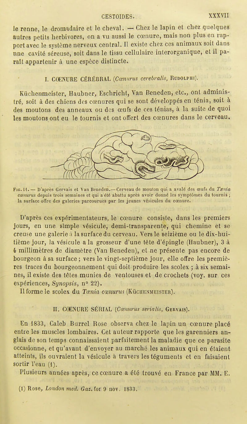le renne, le dromadaire et le cheval. — Chez le lapin et chez quelques aulres petils herbivores, on a vu aussi le coenure, mais non plus en rap- port avec le syst(:!me nerveux central. II existe chez ces animaux soil dans nne cavit6 sereuse, soil dans le tissu cellulaire interorganique, et il pa- ralt appartenir k une esp6ce distincte. I. COENURE CfiRfiBRAL {Cannrus cerebralis, Rudolphi). Kuchenmeister, Haubner, Eschricht, Van Beneden, etc., ont adminis- lr6, soil i des chiens dcs coenures qui se sont developp6s en t6nia, soil i des moutons des anneaux ou des oeufs de ces t6nias, k la suite de quoi les moutons ont eu le tournis et ontoffert des coenures dans le cerveau. Fig. H. — D'apres Gervais et Van Beneden.— Cerveau de mouton qui a aval6 des oeufs du Txnia coenurus depuis trois semaines et qui a ^t^ abattu apres avoir donn^ les symplomes du tournis ; la surface oQre des galeries parcourues par les jeunes vfisicules du coenure. D'apres ces exp6rimentateurs, le coenure consisted dans les premiers jours, en une simple v6sicule, demi-lransparente, qui chemine et se creuse une galeriei'i la surface du cerveau. Versle seizieme ou le dix-hui- tiime jour, la v^sicule a la grosseur d'une tete d'6pingle (Haubner), 3 i 4 millimetres de diaraetre (Van Beneden), et ne pr^senle pas encore de bourgeon k sa surface; vers le vingt-septii^me jour, elle offre les premie- res traces du bourgeonnement qui doit produire les scolex ; cisix semai- nes, il existe des t^tes munies de ventouses et de crochets (voy. sur ces experiences, Sy7iopsis, n° 22). II forme le scolex du Tcenia camurus (Kuchenmeister). II. CCENURE SI^RIAL {Coenurus sma/is, Gekvais). En 1833, Caleb Burrel Rose observa chez le lapin un coenure plac6 entre les muscles lombaires. Get auteur rapporte que les garenniers an- glais dc son temps connaissaient parfailement la maladie que ce parasite occasionne, et qu'avant d'envoyer au marche les animaux qui en 6taient atteinls, ils ouvraient la v6sicule a travers les teguments el en faisaienl sortir I'eau (1). Plusieurs ann^es apr^s, ce coenure a 616 trouv6 en France par MM. E. (t) Rose, London med. Gar. for 9 iiov. 1833.