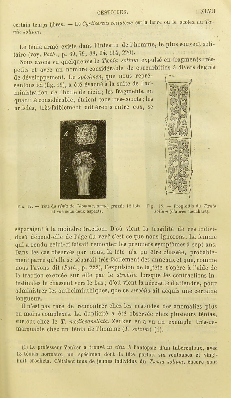 certain temps libres. nia solium. CESTOIDES. XLVII L& Cysticercus cellulosce est la lai ve ou le scolex duT«- Le t^nia arme existe dans I'inteslin de Thomrae, le plus souvent soli- taire (voy. Path., p. G9, 79, 88, 94, H4, 220). iNous avons vu quelquefois le Txnia solium expuls6 en fragments tr6s- petils et avec un nombre considerable de ciircurbilins a divers degr^s de developpement. Le specimen, que nous repre- senlons ici (fig. 19), a 6t6 6vacu6 a la suite de I'ad- ministralion de I'huile de ricin; les fragments, en quantity considerable, etaient tons Iri^s-courls; les articles, Iris-faiblement adherents entre eux, so Fig. 17. — Tele du tenia de I'homme, arme, grossie 12 fois Kig. IS. — Proglottis du Twnia et vue sous deux aspects. solium (d'apres Leuckart). separatenl a la moindre traction. D'oii vienl la I'ragilite de ces indivi- dus? depend-elle de Tflge du ver? c'est ce que nous ignorons. La femme qui a rendu celui-ci faisait remonter les premiers sympt6mes a sept ans. Dans les cas observes par nous, la t(?te n'a pu fitre chassee, probable- ment parce qu'elle se s^parait tr^s-facilement des anneaux et que, comme nous I'avons dit [Path., p. 222), I'expulsion de lactate s'op(5re a I'aide de la traction exerc^e sur elle par le strobila lorsque les contractions in- teslinales le chassent vers le bas; d'oii vient la necessity d'attendre, pour administrer les anthelminthiques, que ce slrobila ait acquis une certaine longueur. II n'est pas rare de rencontrer chez les cestoides des anomalies plus ou moins complexes. La duplicite a 6t6 observde chez plusieurs t^nias, surtout chez le T. mecliocanellata. Zenker en a vu un exemple tri^s-re- marquable chez un tenia de I'homme (T. solium) (1). (1) Le professeur Zenker a trouvd in situ, k i'autopsie d'un tuberculeux, avec 13 tenias normaux, un specimen dont la tete portait six ventouses et vingl- huit crochets. C'etaienl tous de jeunes individus du Tainia solium, encore sans