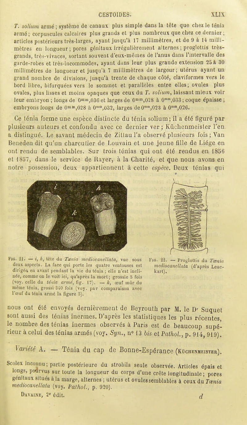 T. solium arme ; systdme de canaux plus simple dans la t6te que chez le tenia arm6; corpuscules calcaires plus grands et plus nombreux que chez ce dernier; articles posterieurs tr6s-larges, ayant jusqu'ik 17 niillim6tres, et de 9 ^ 14 milli- metres en longueur; pores g§nitaux irreguliferement alternes ; proglottis trfes- grands, tr^s-vivaces, sortant souvent d'eux-meines de I'anus dans rintervaiie des garde-robes et tres-incommodes, ayant duns leur plus granda extension 25 i 30 millimetres de longueur et jusqu'a 7 millimetres de largeur; uterus ayant un grand nombre de divisions, jusqa'4 trente de chaque cote, claviformes vers le bord libra, bifurquees vers le sommet et paralleles entre elles; ovules plus ovales, plus lisses et moins opaques que ceux du T. solium, laissant mieux voir leur emLryon ; longs de 0',03G et larges de O'nn',028 h 0°°,033; coque epaisse ; embryons longs de 0«i'»',028 a 0'',032, larges de0°,023 k 0°,026. Ce t6nia forme une espece dislincte du I6nia solium; il a 6t6 figur6 par plusieurs auteurs et confondu avec ce dernier ver j Kiichenmeisler Ten a distingue. Le savant medecin de Zittau I'a observ6 plusieurs fois; Van Beneden dit qu'uu charculier de Louvain et une jeune fille de Li6ge en ont rendu de semblables. Sur Irois t6nias qui ont 616 rendus en 1836 et 1837, dans le service de Rayer, a la Charite, et que nous avons en noire possession, deux appartiennent k cette espece. Deux tenias qui Fig. 21. — i, h, tete du Tusiiia mediocanellata, vue sous Fig. 22. — Proglottis du Tcenia deux aspects. La face qui porte les quatrc ventouses est mediocanellata (d'apres Leuc- diriggft en avant pendant la vie du tdnia; elle n'est incli- kart). n^e, commeon le voit ici, qu'apres la mort; grossie 5 fois (voy. celle du t^itia arme, fig. 17). — k, oeuf inur du meme t6nia, grossi 340 fois (voy. par comparaison avec I'ceuf du t(Snia arm^ la figure 5). nous ont 616 envoy6s dernierement de Beyrouth par M. le Suquet sont aussi des I6nias inermes. D'apres les statistiques les plus re'centes le nombre des tenias inermes observ6s a Paris est de beaucoup sup6- rieur a celui des t6nias arm6s (voy. Syn., n 13 his et Fathol, p. 914, 919). \ariele A. — T6nia du cap de Bonne-Esp6rance (Kuchenmeister). Scolex inconnu; partie posterieure du strobila seule observee. Articles ^pais et longs, poflrvus sur toule la longueur du corps d'une crete longitudinale; pores genitaux situes a la margo, alternes ; uterus et ovules semblables k ceux du Taenia medtocanellala (voy, Pathol., p. 920). DavaiiNE, 2' 6dit. ^