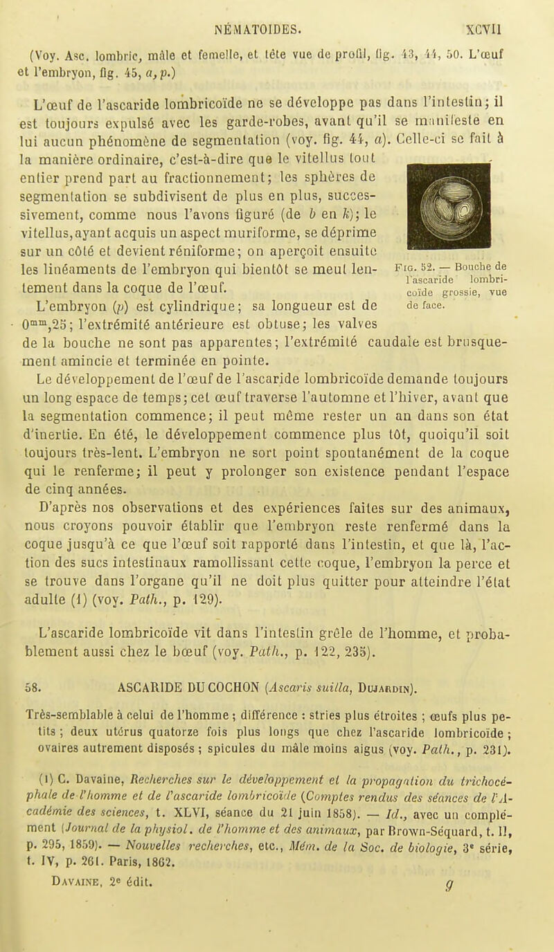 (Voy. Asc. lombric, itiAle et femelle, et tete vue de profil, lig. i3, ii, 50. L'ceuf el Tembryon, fig. 45, a,p.) L'ceuf de I'ascaride lombrico'ide ne se developpe pas dans riiiteslin; il est toujours e\-puls6 avec les garde-robes, avant qu'il se manilesle en lui aucun ph^nomine de segmentation (voy. fig. 44, a). Celle-ci se fail h la maniere ordinaire, c'est-Ji-dire que le vitelliis lout enlier prend part au fraclionnement; les spli(ires de segmentation se subdivisent de plus en plus, succes- sivement, comme nous I'avons figurS (de b en ft); le vitellus,ayant acquis un aspect muriforme, se d6prime sur un cOt6 et devient rdniforme; on apergoil ensuito les lineaments de I'embryon qui bienlOt se meul len- fig- s2. — Bouche de , , , 1 1, n I'ascaride lombri- lement dans la coque de 1 oeuf. coWe grossie, vue L'embryon {p) est cylindrique; sa longueur esl de deface. • 0'°'^,25; rextr6mil6 ant^rieure est obtuse; les valves de la bouclie ne sont pas apparentes; I'extr^mile caudaie est brusque- ment amincie et terrain^e en pointe. Le developpement de l'ceuf de I'ascaride lombricoide demande toujours un long espace de temps; cet oeuf traverse I'automne et I'hiver, avant que la segmentation commence; il peut mfime rester un an dans son elat d'inerlie. En 616, le d6veloppemenl commence plus lOt, quoiqu'il soil toujours tres-lent. L'embryon ne sort point spontan^ment de la coque qui ie renferme; 11 peut y prolonger son existence pendant I'espace de cinq ann6es. D'apres nos observations et des experiences faites sur des animaux, nous croyons pouvoir etablir que l'embryon resle renferm6 dans la coque jusqu'k ce que l'ceuf soil rapports dans I'intestin, et que \k, fac- tion des sues intestinaux ramollissanl cette coque, l'embryon la perce et se trouve dans I'organe qu'il ne doit plus quitter pour alteindre I'etat adulle (1) (voy. Path., p. 129). L'ascaride lombricoide vit dans I'inlestin grCIe de I'liomme, el proba- blement aussi chez le bceuf {voj. Path., p. 122, 235). 58. ASCARIDE DUCOCHON {Ascaris suilla, Dujahdin). TrSs-semblable a celui de rhomme ; dilTerence : stries plus etroites ; oeufs plus pe- tits; deux uWrus quatoize fois plus longs que chez I'ascaride lombricoide ; ovaires autrement disposes ; spicules du male moins aigus (voy. Path,, p. 230. (l)C. Davaine, Recherches sur le diveloppement el la propagation du trichoce- phate de I'homme et de I'ascaride lomhricoiile {Cimples rendus des stances de VA- cadimie des sciences, t. XLVI, seance du 21 juiii 1858). — Id., avec uii comple- ment {Journal de la physiol. de I'homme et des animaux, par Brown-Sequard, t. II, p. 295, 1859). — Nouvelles recherches, etc., Mdm. de la Soc. de biologie, 3« serie, t. IV, p. 261. Paris, 1862. Davaine, 2e 6dit. n