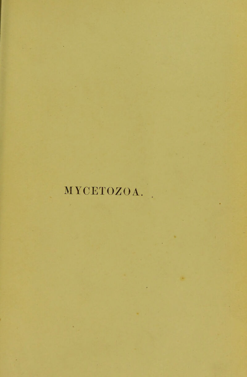 MYCETOZOA.