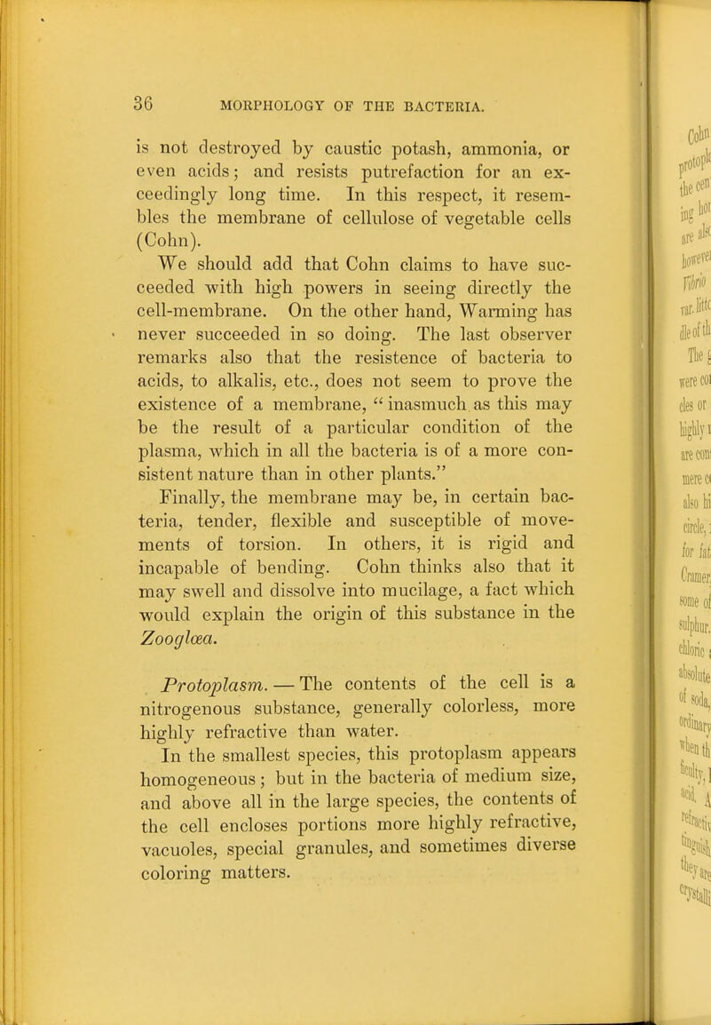 is not destroyed by caustic potash, ammonia, or even acids; and resists putrefaction for an ex- ceedingly long time. In this respect, it resem- bles the membrane of cellulose of vegetable cells (Cohn). We should add that Cohn claims to have suc- ceeded with high powers in seeing directly the cell-membrane. On the other hand, Warming has never succeeded in so doing. The last observer remarks also that the resistence of bacteria to acids, to alkalis, etc., does not seem to prove the existence of a membrane,  inasmuch as this may be the result of a particular condition of the plasma, which in all the bacteria is of a more con- sistent nature than in other plants. Finally, the membrane may be, in certain bac- teria, tender, flexible and susceptible of move- ments of torsion. In others, it is rigid and incapable of bending. Cohn thinks also that it may swell and dissolve into mucilage, a fact which would explain the origin of this substance in the Zoogloea. Protoplasm. — The contents of the cell is a nitrogenous substance, generally colorless, more highly refractive than water. In the smallest species, this protoplasm appears homogeneous ; but in the bacteria of medium size, and above all in the large species, the contents of the cell encloses portions more highly refractive, vacuoles, special granules, and sometimes diverse coloring matters.