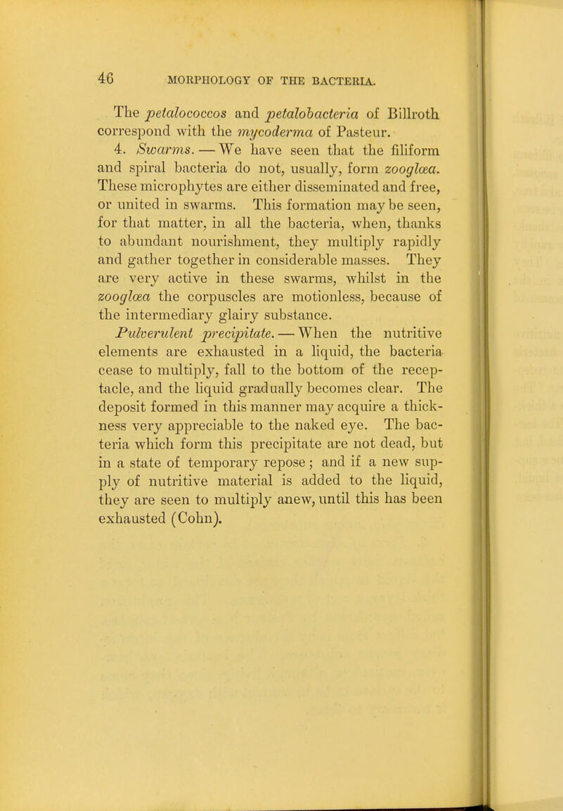 The peialococcos and petalohacteria of Billroth correspond with the mycoderma of Pasteur. 4. Swarms.—We have seen that the filiform and spiral bacteria do not, usually, form zooglcea. These microphytes are either disseminated and free, or united in swarms. This formation may be seen, for that matter, in all the bacteria, when, thanks to abundant nourishment, they multiply rapidly and gather together in considerable masses. They are very active in these swarms, whilst in the zooglcea the corpuscles are motionless, because of the intermediary glairy substance. Pulverulent precipitate. — When the nutritive elements are exhausted in a liquid, the bacteria cease to multiply, fall to the bottom of the recep- tacle, and the liquid gradually becomes clear. The deposit formed in this manner may acquire a thick- ness very appreciable to the naked eye. The bac- teria which form this precipitate are not dead, but in a state of temporary repose; and if a new sup- ply of nutritive material is added to the liquid, they are seen to multiply anew, until this has been exhausted (Cohn).