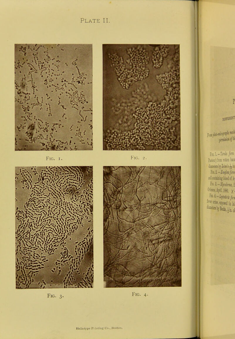Fig. 3. Fig. 4- Ili'liotjIM' I'liiililiK C'li.. llll^llln.