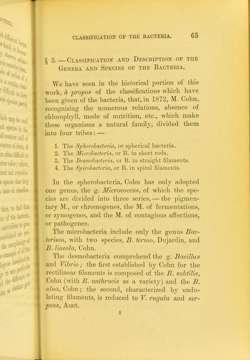 § 3. — Classification and Description of the Gener^^ and Species of the Bacteria. We have seen in the historical portion of this work, a propos of the classifications which have been given of the bacteria, that, in 1872, M. Cohn, recognizing the numerous relations, absence of chlorophyll, mode of nutrition, etc., which make these organisms a natural family, divided them into four tribes : — 1. The Spherobacteria, or spherical bacteria. 2. The Microbacteria, or B. in short rods. 3. The Besmobaeteria, or B. in straight filaments. 4. The Spirobacteria, or B. in spiral filaments. In the spherobacteria, Cohn has only adopted one genus, the g. llicrococcus, of which the spe- cies are divided into three series, — the pigmen- tary M., or chromogenes, the M. of fermentations, or zymogenes, and the M. of contagious affections, or pathogenes. The microbacteria include only the genus JJac- terium, with two species, B. termo, Dujardin, and £. lineola, Cohn. The desmobacteria comprehend the g. Bacillus and Vibrio; the first established by Cohn for the rectilinear filaments is composed of the B. sicbtilis, Cohn (with B. cmthracis as a variety) and the B. ulna, Cohn; the second, characterized by undu- lating filaments, is reduced to F. rugula and ser- pens, Auct. 5