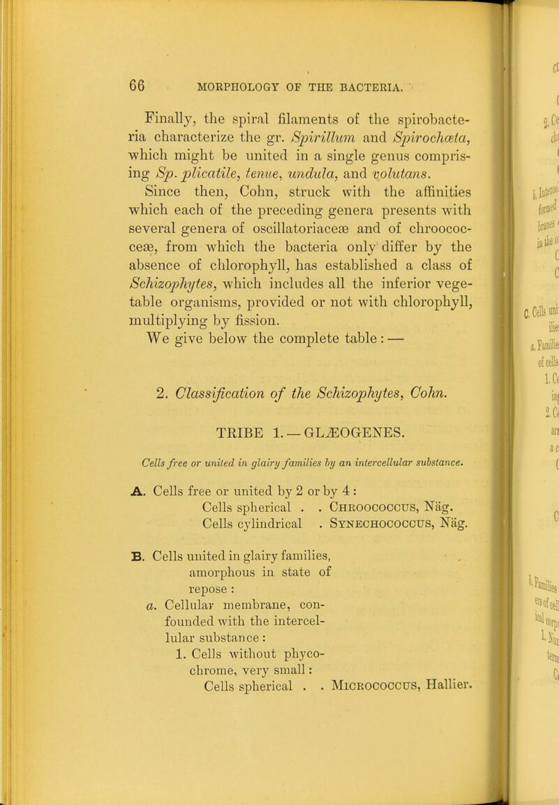 Finally, the spiral filaments of the spirobacte- ria characterize the gr. Spirillum and Spirochceta, which might be united in a single genus compris- ing Sp. plicatile, ienue, undula, and volutans. Since then, Cohn, struck with the affinities which each of the preceding genera presents with several genera of oscillatoriacese and of chroococ- ceae, from which the bacteria only differ by the absence of chlorophyll, has established a class of Schizophytes, which includes all the inferior vege- table organisms, provided or not with chlorophyll, multiplying by fission. We give below the complete table: — 2. Classification of the Schizophytes, Cohn. TRIBE 1. — GL^OGENES. Cells free or united in glairy families hy an intercellular substance. A. Cells free or united by 2 or by 4 : Cells spherical . . Chroococcus, Nag. Cells cylindrical . Synechococcus, Nag. B. Cells united in glairy families, • , amorphous in state of repose : a. Cellular membrane, con- founded with the intercel- lular substance: 1. Cells without phyco- chrome, very small: Cells spherical . . Micrococcus, Hallier.