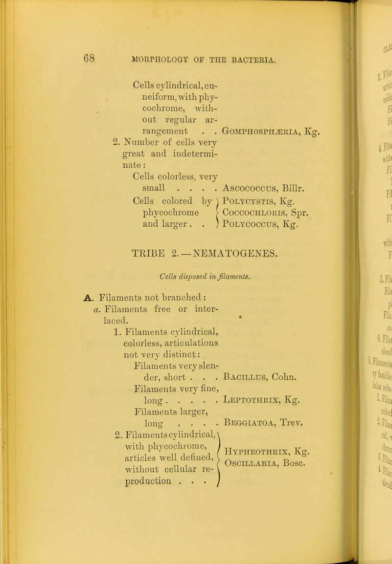 Cells cylindrical, cu- neiform, with phy- cochrome, with- out regular ar- rangement . . GOMPHOSPHJSRIA, Kg. 2. Number of cells very great and indetermi- nate : Cells colorless, very small .... Ascococcus, Billr. Cells colored by ) Polycystis, Kg. phycochrome > Coccochloris, Spr. and larger . . ) Polycoccus, Kg. TRIBE 2. —NEMATOGENES. Cells disposed in Jilaments. A. Filaments not branched: a. Filaments free or inter- laced. 1. Filaments cylindrical, colorless, articulations not very distinct: , Filaments very slen- der, short • . . Bacillus, Cohn. Filaments very fine, long Leptothrix, Kg. Filaments larger, long .... Beggiatoa, Trev. 2. Filaments cylindrical, with phycochrome, articles well defined, without cellular re- production . . . Hypheothrix, Kg. Oscillaria, Bosc.