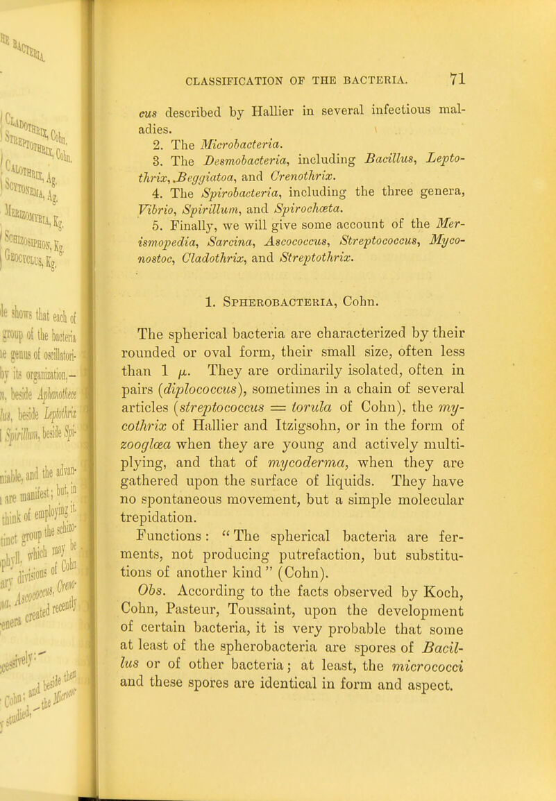 cus described by Hallier in several infectious mal- adies. 2. The Microhaderia. 3. The Besmobacteria, including Bacillus, Lepto- thrix, .Beggiatoa, and Crenothrix. 4. The Spirobaeteria, including the three genera, Vibrio, Spirillum, and Spirochceta. 5. Finally, we will give some account of the Mer- ismopedia, Sarcina, Aseococcus, Streptococcus, Myco- nostoc, Cladothrix, and Streptothrix. 1. Spherobacteria, Cohn. The spherical bacteria are characterized by their rounded or oval form, their small size, often less than 1 /X. They are ordinarily isolated, often in pairs {diplococcits), sometimes in a chain of several articles [streptococcus = iorula of Cohn), the my- cothrix of Hallier and Itzigsohn, or in the form of zooglcea when they are young and actively multi- plying, and that of mycoderma, when they are gathered upon the surface of liquids. They have no spontaneous movement, but a simple molecular trepidation. Functions:  The spherical bacteria are fer- ments, not producing putrefaction, but substitu- tions of another kind  (Cohn). 06s. According to the facts observed by Koch, Cohn, Pasteur, Toussaint, upon the development of certain bacteria, it is very probable that some at least of the spherobacteria are spores of Bacil- lus or of other bacteria; at least, the micrococci and these spores are identical in form and aspect.