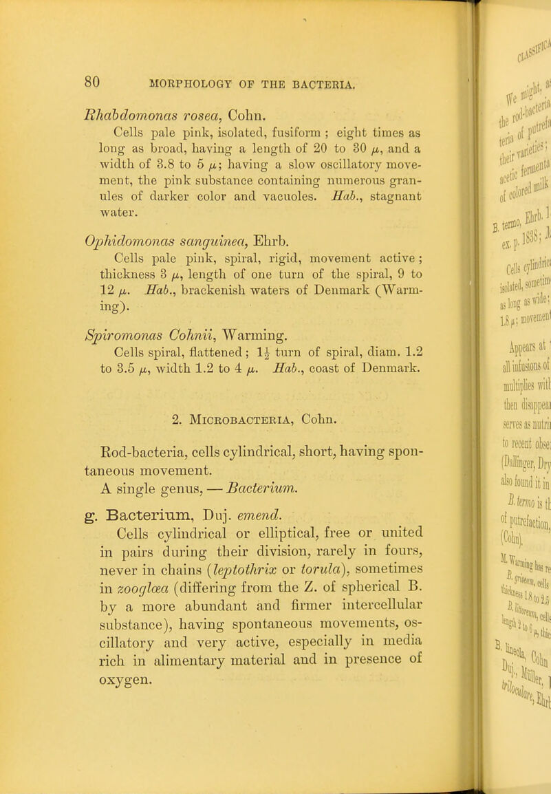 Rhabdomonas rosea, Cohn. Cells pale pink, isolated, fusiform ; eight times as long as broad, having a length of 20 to 30 yu,, and a width of 3.8 to 5 /a; having a slow oscillatory move- ment, the pink substance containing numerous gran- ules of darker color and vacuoles. Hob,, stagnant water. Ophidomonas sanguinea, Ehrb. Cells pale pink, spiral, rigid, movement active ; thickness 3 //,, length of one turn of the spiral, 9 to 12 /i. Hab., brackenish waters of Denmark (Warm- ing). Spiromonas Colinii, Warming. Cells spiral, flattened; 1| turn of spiral, diam, 1.2 to 3.5 /i, width 1.2 to 4 fi. Mob., coast of Denmark. 2. MiCROBACTEEIA, Cohn. Rod-bacteria, cells cylindrical, short, having spon- taneous movement. A single genus, — Bacterium. g. Bacterinm, Duj. emend. Cells cylindrical or elliptical, free or united in pairs during their division, rarely in fours, never in chains {leptoihrix or torula), sometimes in zoogloea (differing from the Z. of spherical B. by a more abundant and firmer intercellular substance), having spontaneous movements, os- cillatory and very active, especially in media rich in alimentary material and in presence of oxygen. iiiil Cells cylindrif- isolated,?**'' jslojgaswle; l,8^;inoYemeiii Appeal's at' alliufaslonsof multiplies will tlien disappeai serves as nutrii to receDt obse: (Dallinirer, Drj also found it in ^■taoistl fpuWactioD, (ColiD). toe fi,