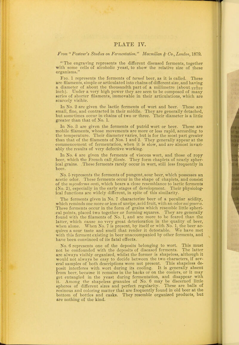 PLATE IV. From  Pasteur's Studies on Fermentation. Macmtllan ^ Co., London, 1879.  The engraving represents the different diseased ferments, togetlier with some cells of alcoholic yeast, to show the relative size of these organisms. Fig. 1 represents the ferments of turned beer, as it is called. These are filaments, simple or articulated into chains of different size, and having a diameter of about the thousandth part of a millimetre (about tsuhts inch). Under a very high pov,-er they are seen to be composed of many series of shorter filaments, immovable in their articulations, which are scarcely visible. In No. 2 are given the lactic ferments of wort and beer. These are small, fine, and contracted in their middle. They are generally detached, but sometimes occur in chains of two or three. Their diameter is a little greater than that of No. 1. In No. 3 are given the ferments of putrid wort or beer. These are mobile filaments, whose movements are more or less rapid, according to the temperature. Their diameter varies, but is for the most part greater than that of the filaments of Nos. 1 and 2. They generally appear at the commencement of fermentation, when it is slow, and are almost invari- ably the results of very defective working. In No. 4 are given the ferments of viscous wort, and those of ropy beer, which the French call Jilante. They form chaplets of nearly spher- ical grains. These ferments rarely occur in wort, still less frequently in beer. No. 5 represents the ferments of pungent, sour beer, which possesses an acetic odor. These ferments occur in the shape of chaplets, and consist of the mi/codermn ticeti, which bears a close resemblance to lactic ferments (No. 2), especially in the early stages of development. Their physiolog- ical functions are widely different, in spite of this similarity. The ferments given in No. 7 characterize beer of a peculiar acidity, which reminds one more or less of unripe, acid fruit, with an odor suigeneris. These ferments occur in the form of grains which resemble little spheri- cal points, placed two togetlier or forming squares. They are generally found with the filaments of No. 1, and are more to be feared than the latter, which cause no very great deterioration in the quality of beer, when alone. When No. 7 is present, by itself or with No. 1, the beer ac- quires a sour taste and smell that render it detestable. We have met with this ferment existing in beer unaccompanied by other ferments, and have been convinced of its fatal effects. No. 6 represents one of the deposits belonging to wort. This must not be confounded with the deposits of diseased ferments. The latter are always visibly organized, whilst the former is shapeless, although it would not always be easy to decide between the two characters, if sev- eral samples of both descriptions were not present. This shapeless de- posit interferes with wort during its cooling. It is generally absent from beer, because it remains in the backs or on the coolers, or it may get entangled in the yeast during fermentation, and disappear with it. Among the shapeless granules of No. 6 may be discerned little spheres of different sizes and perfect regularity. These are balls of resinous and coloring matter that are frequently found in old beer at the bottom of bottles and casks. They resemble organized products, but are nothing of the kind.