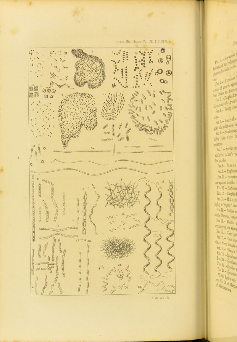 From Micr. Journ Vo! Xin.M S PI V. » A Mtispl liiV.