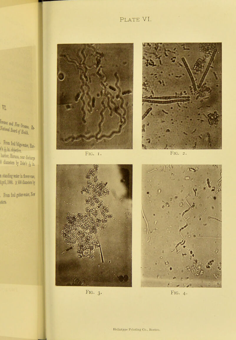 Fig. 3. Fig. 4. Ilcliolyiii' I'riiitiTis Cn.. Hustiiu.