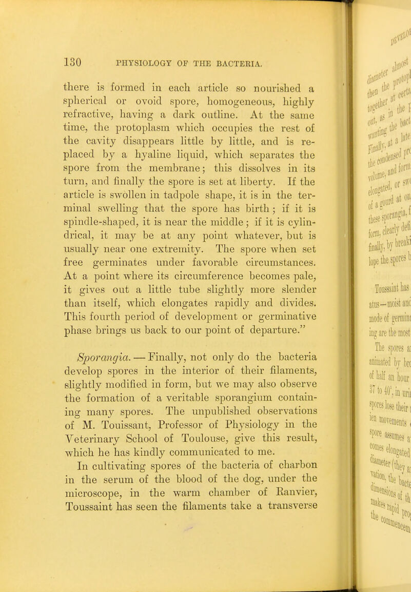 there is formed in each article so nourished a SiDherical or ovoid spore, homogeneous, highly refractive, having a dark outline. At the same time, the protoplasm which occupies the rest of the cavity disappears little by little, and is re- placed by a hyaline liquid, which separates the spore from the membrane; this dissolves in its turn, and finally the spore is set at liberty. If the article is swollen in tadpole shape, it is in the ter- minal swelling that the spore has birth; if it is spindle-shaped, it is near the middle ; if it is cylin- drical, it may be at any point whatever, but is usually near one extremity. The spore when set free germinates under favorable circumstances. At a point where its circumference becomes pale, it gives out a little tube slightly more slender than itself, which elongates rapidly and divides. This fourth period of development or germinative phase brings us back to our point of departure. Sporangia. — Finally, not only do the bacteria develop spores in the interior of their filaments, slightly modified in form, but we may also observe the formation of a veritable sporangium contain- ing many spores. The unpublished observations of M. Touissant, Professor of Physiology in the Veterinary School of Toulouse, give this result, which he has kindly communicated to me. In cultivating spores of the bacteria of charbon in the serum of the blood of the dog, under the microscope, in the warm chamber of Kanvier, Toussaint has seen the filaments take a transverse