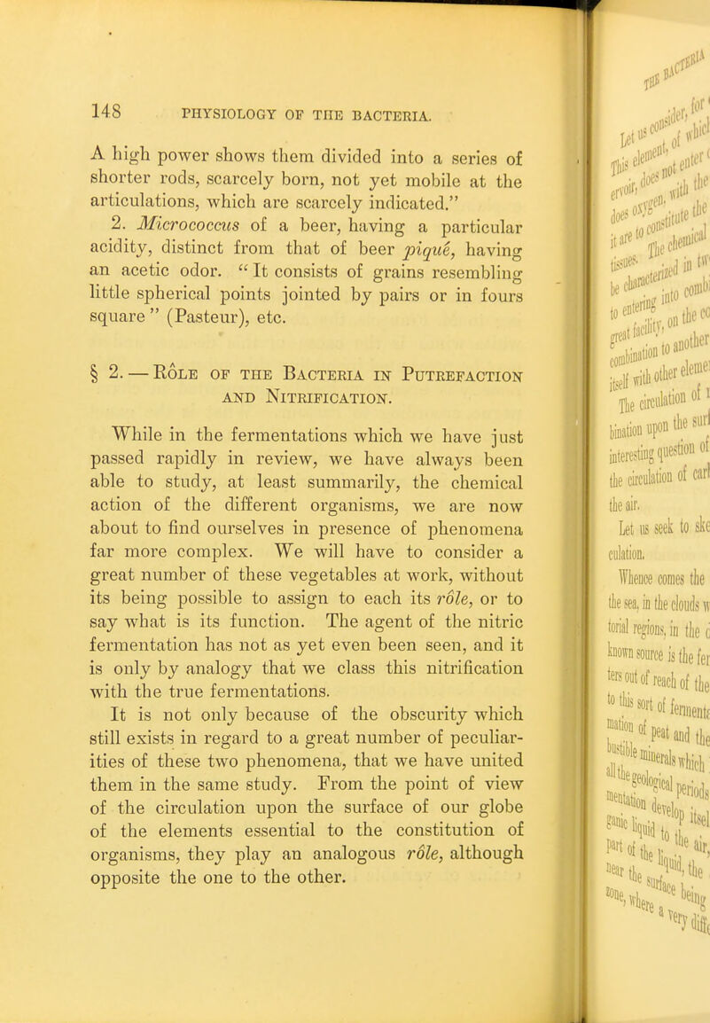 A high power shows them divided into a series of shorter rods, scarcely born, not yet mobile at the articulations, which are scarcely indicated. 2. Micrococcus of a beer, having a particular acidity, distinct from that of beer pique, having an acetic odor.  It consists of grains resembling little spherical points jointed by pairs or in fours square  (Pasteur), etc. § 2. — Role op the Bacteria in Putrefaction AND Nitrification. While in the fermentations which we have just passed rapidly in review, we have always been able to study, at least summarily, the chemical action of the different organisms, we are now about to find ourselves in presence of f)henomena far more complex. We will have to consider a great number of these vegetables at work, without its being possible to assign to each its role, or to say what is its function. The agent of the nitric fermentation has not as yet even been seen, and it is only by analogy that we class this nitrification with the true fermentations. It is not only because of the obscurity which still exists in regard to a great number of peculiar- ities of these two phenomena, that we have united them in the same study. From the point of view of the circulation upon the surface of our globe of the elements essential to the constitution of organisms, they play an analogous role, although opposite the one to the other.