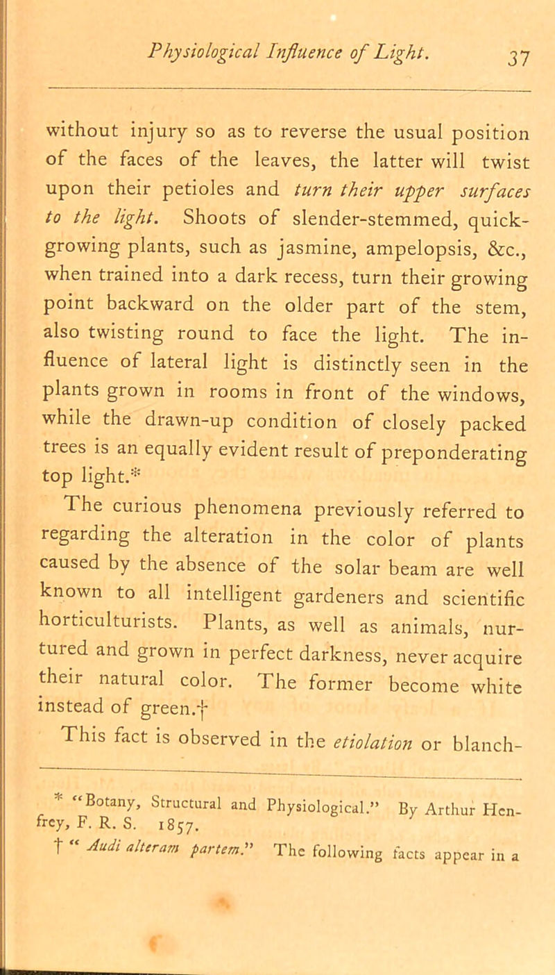 without injury so as to reverse the usual position of the faces of the leaves, the latter will twist upon their petioles and turn their upper surfaces to the light. Shoots of slender-stemmed, quick- growing plants, such as jasmine, ampelopsis, &c., when trained into a dark recess, turn their growing point backward on the older part of the stem, also twisting round to face the light. The in- fluence of lateral light is distinctly seen in the plants grown in rooms in front of the windows, while the drawn-up condition of closely packed trees is an equally evident result of preponderating top light.* The curious phenomena previously referred to regarding the alteration in the color of plants caused by the absence ot the solar beam are well known to all intelligent gardeners and scientific horticulturists. Plants, as well as animals, nur- tured and grown in perfect darkness, never acquire their natural color. The former become white instead of green.f This fact is observed in the etiolation or blanch- Botany, Structural and Physiological.” By Arthur Hen- frcy, F. R. S. 1857. t Audi alteram partem.» The following facts appear in a