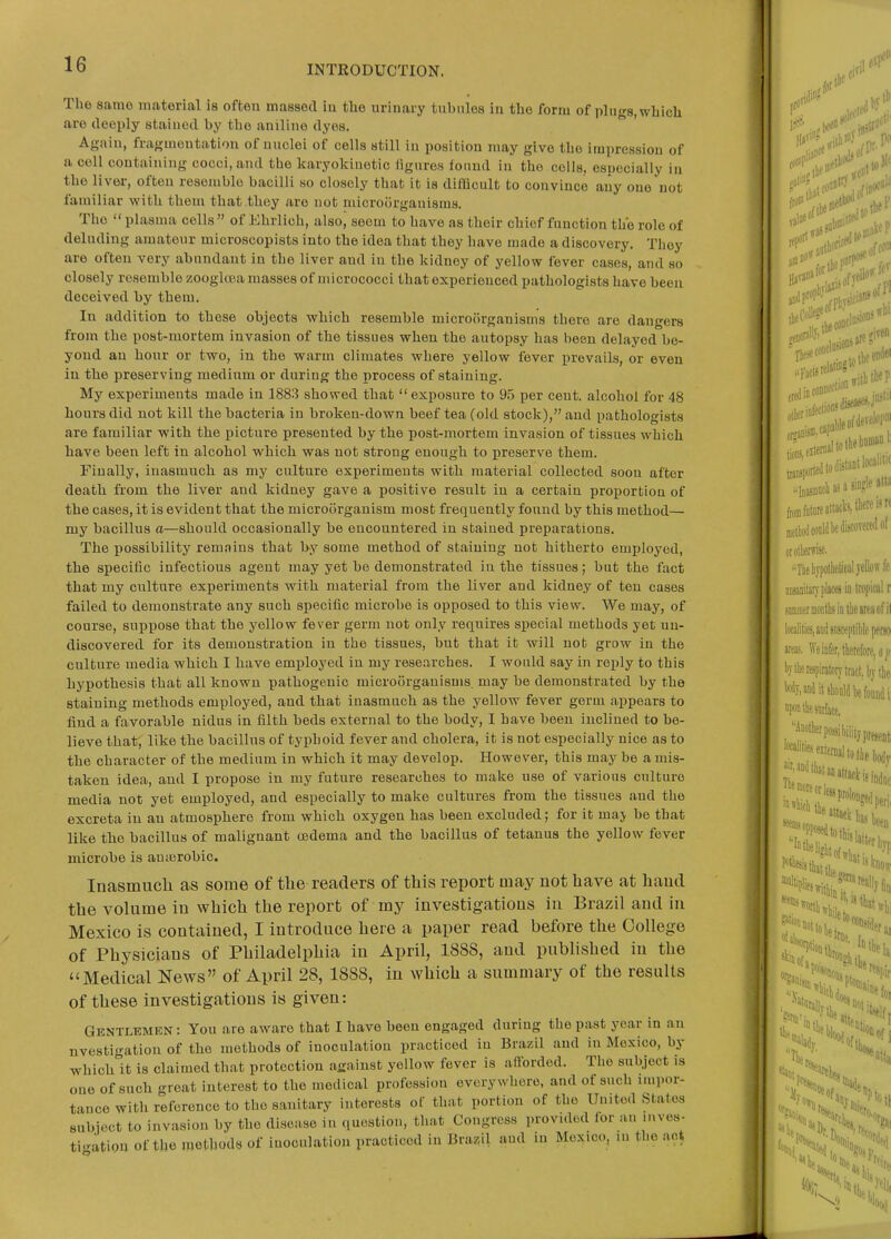 The same material is often massed in tlio urinary tubules in tbo form of plugs, which are deeply staiued by the aniline dyes. Again, fragmentation of nuclei of cells still in position may give the impression of a cell containing cocci, and the karyokinotic iiguros found in the colls, especially in the liver, often resemble bacilli so closely that it is diihcult to convince any one not familiar with them that they are not microorganisms. The  plasma cells of Ehrlich, also, seem to have as their chief function the role of deluding amateur microscopists into the idea that they have made a discovery. They are often very abundant in the liver and in the kidney of yellow fever cases, and so closely resemble zooglcea masses of micrococci that experienced pathologists have been deceived by them. In addition to these objects which resemble microorganisms there are dangers from the post-mortem invasion of the tissues when the autopsy has been delayed be- yond an hour or two, in the warm climates where yellow fever prevails, or even in the preserving medium or during the process of staining. My experiments made in 1883 showed that exposure to 9.5 per cent, alcohol for 48 hours did not kill the bacteria in broken-down beef tea (old stock), and pathologists are familiar with the picture presented by the post-mortem invasion of tissues which have been left in alcohol which was not strong enough to preserve them. Finally, inasmuch as my culture experiments with material collected soon after death from the liver and kidney gave a positive result in a certain proportion of the cases, it is evident that the microorganism most frequently found by this method— my bacillus a—should occasionally be encountered in staiued preparations. The possibility rem.Tins that by some method of staining not hitherto employed, the specific infectious agent may yet be demonstrated iu the tissues; but the fact that my culture experiments with material from the liver and kidney of ten cases failed to demonstrate any such specific microbe is opposed to this view. We may, of course, suppose that the yellow fever germ not only requires special methods yet un- discovered for its demonstration in the tissues, but that it will not grow in the culture media which I have employed in my researches. I would say in rei)ly to this hypothesis that all known pathogenic microorganisms, may be demonstrated by the staining methods employed, and that inasmuch as the yellow fever germ appears to find a favorable nidus in filth beds external to the body, I have been inclined to be- lieve that; like the bacillus of typhoid fever and cholera, it is not especially nice as to the character of the medium in which it may develop. However, this may be a mis- taken idea, and I propose in my future researches to make use of various culture media not yet employed, and especially to make cultures from the tissues and the excreta in an atmosphere from which oxygen has been excluded; for it may be that like the bacillus of malignant oedema and the bacillus of tetanus the yellow fever microbe is auterobic. Inasmuch as some of the readers of this report may not have at hand the volume in which the report of my investigations in Brazil and in Mexico is contained, I introduce here a paper read before the College of Physicians of Philadelphia in April, 1888, and published in the Medical News of April 28, 1888, iu which a summary of the results of these investigations is given: Gentlemen : You are aware that I have been engaged during the past year in an nvestigation of the methods of inoculation practiced in Brazil and in Mexico, by whichlt is claimed that protection against yellow fever is afforded. The subject is one of such <rroat interest to the medical profession everywhere, and of such impor- tance with reference to the sanitary interests of that portion of tho United States subject to invasion by tho disease in ,,uestion, that Congress provided lor an luves- ti.ration of the methods of inoculation practiced in Braz/il and in Mexico, lu the act