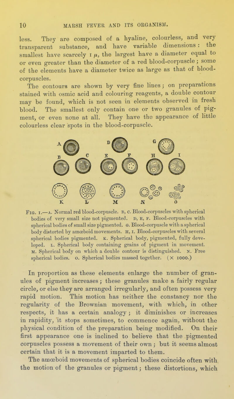 less. They are composed of a hyaline, colourless, and very transparent substance, and have variable dimensions : the smallest have scarcely i ju, the largest have a diameter equal to or even greater than the diameter of a red blood-corpuscle; some of the elements have a diameter twice as large as that of blood- corpuscles. The contours are shown by very fine lines ; on preparations stained with osmic acid and colouring reagents, a double contour may be found, which is not seen in elements observed in fresh blood. The smallest only contain one or two granules of pig- ment, or even none at all. They have the appearance of little colourless clear spots in the blood-corpuscle. K L M J?f 0 Fig. I.—A. Normal red blood-corpuscle, b, c. Blood-corpuscles with spherical bodies of very small size not pigmented. D, E, r. Blood-corpuscles with spherical bodies of small size pigmented. G. Blood-corpuscle with a spherical body distorted by amoeboid movements. H, i. Blood-corpuscles with several spherical bodies pigmented. K. Spherical body, pigmented, fully deve- loped. L. Spherical body containing grains of pigment in movement. M. Spherical body on which a double contour is distinguished. N. Free spherical bodies, o. Spherical bodies massed together. (X looo.) In proportion as these elements enlarge the number of gran- ules of pigment increases; these granules make a fairly regular circle, or else they are arranged irregularly, and often possess very rapid motion. This motion has neither the constancy nor the regularity of the Brownian movement, with which, in other respects, it has a certain analogy ; it diminishes or increases in rapidity, it stops sometimes, to commence again, without the physical condition of the preparation being modified. On their first appearance one is inclined to believe that the pigmented corpuscles possess a movement of their own; but it seems almost certain that it is a movement imparted to them. The amoeboid movements of spherical bodies coincide often with the motion of the granules or pigment; these distortions, which