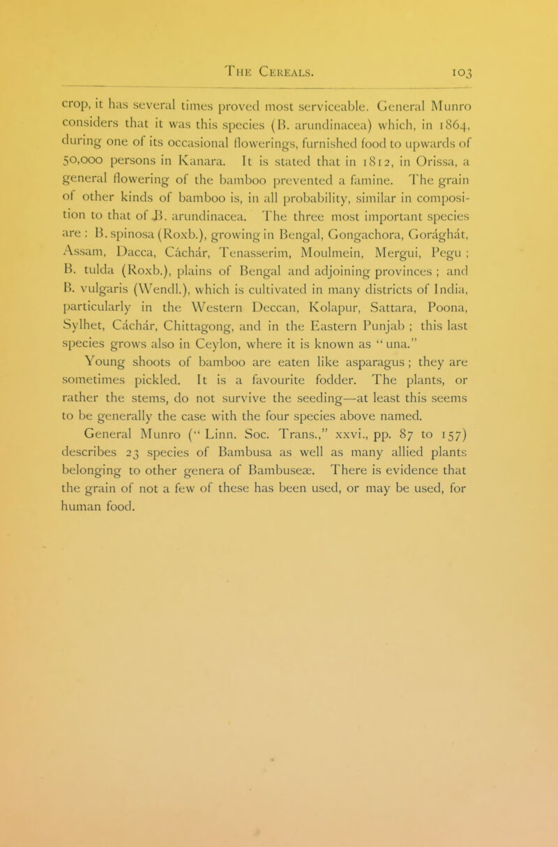 crop, it has several times proved most serviceable. General Munro considers that it was this species (H. arundinacea) which, in 1864, during one of its occasional flowerings, furnished food to upwards of 50,000 persons in Kanara. It is stated that in 1812, in Orissa, a general flowering of the bamboo prevented a famine. The grain of other kinds of bamboo is, in all probability, similar in composi- tion to that ot J^. arundinacea. The three most important species are : B.spinosa (Roxb.), growing in Bengal, Gongachora, Goraghat, Assam, Dacca, Cachar, Tenasserim, Moulmein, Mergui, Pegu ; B. tulda (Roxb.), plains of Bengal and adjoining provinces ; and B. vulgaris (Wendl), which is cultivated in many districts of India, particularly in the Western Deccan, Kolapur, Sattara, Poona, Sylhet, Cachar, Chittagong, and in the Eastern Punjab ; this last species grows also in Ceylon, where it is known as  una. Young shoots of bamboo are eaten like asparagus ; they are sometimes pickled. It is a favourite fodder. The plants, or rather the stems, do not survive the seeding—at least this seems to be generally the case with the four species above named. General Munro ( Linn. Soc. Trans., xxvi., pp. 87 to 157) describes 23 species of Bambusa as well as many allied plants belonging to other genera of Bambusese. There is evidence that the grain of not a few of these has been used, or may be used, for human food.