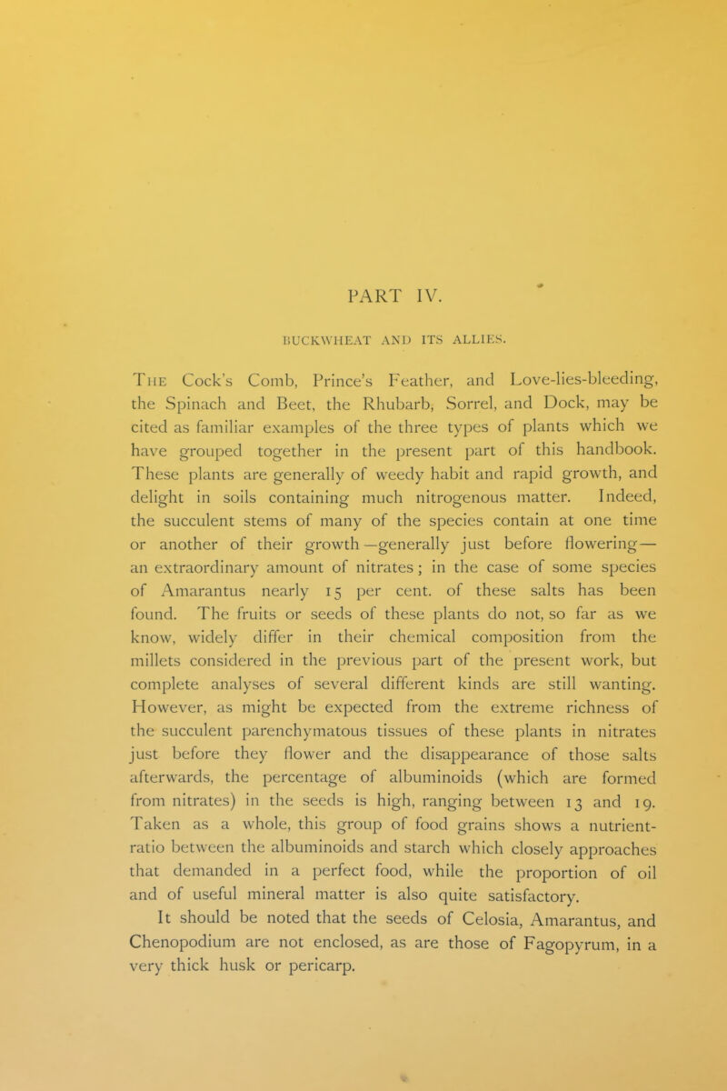PART IV. BUCKWHEAT AND ITS ALLIES. The Cock's Comb, Prince's Feather, and Love-lies-bleeding, the Spinach and Beet, the Rhubarb, Sorrel, and Dock, may be cited as familiar examples of the three types of plants which we have grouped together in the present part of this handbook. These plants are generally of weedy habit and rapid growth, and delight in soils containing much nitrogenous matter. Indeed, the succulent stems of many of the species contain at one time or another of their growth —generally just before flowering— an extraordinary amount of nitrates; in the case of some species of Amarantus nearly 15 per cent, of these salts has been found. The fruits or seeds of these plants do not, so far as we know, widely differ in their chemical composition from the millets considered in the previous part of the present work, but complete analyses of several different kinds are still wanting. However, as might be expected from the extreme richness of the succulent parenchymatous tissues of these plants in nitrates just before they flower and the disappearance of those salts afterwards, the percentage of albuminoids (which are formed from nitrates) in the seeds is high, ranging between 13 and 19. Taken as a whole, this group of food grains shows a nutrient- ratio between the albuminoids and starch which closely approaches that demanded in a perfect food, while the proportion of oil and of useful mineral matter is also quite satisfactory. It should be noted that the seeds of Celosia, Amarantus, and Chenopodium are not enclosed, as are those of Fagopyrum, in a very thick husk or pericarp.
