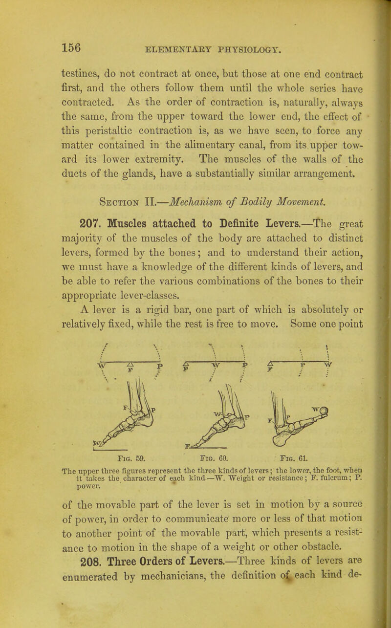 testiues, do not contract at once, but those at one end contract first, and tlie others follow them until the whole series have contracted. As the order of contraction is, naturally, always the same, from the upper toward the lower end, the effect of this peristaltic contraction is, as we have seen, to force any matter contained in the alimentary canal, from its upper tow- ard its lower extremity. The muscles of the walls of the ducts of the glands, have a substantially similar arrangement. Section II.—Mechanism of Bodily Movement. 207. Muscles attached to Definite levers.—The great majority of the muscles of the body are attached to distinct levers, formed by the bones; and to understand their action, we must have a knowledge of the different kinds of levers, and be able to refer the various combinations of the bones to their appropriate lever-classes. A lever is a rigid bar, one part of which is absolutely or relatively fixed, while the rest is free to move. Some one point Fig. 59. Fig. GO. Fig. 61. The upper three figures represent the three kinds of levers; the lower, the foot, when it takes the character of each kind.—W. Weight or resistance; F. fulcrum; P. power. ' of the movable part of the lever is set in motion by a source of power, in order to communicate more or less of that motion to another point of the movable part, which presents a resist- ance to motion in the shape of a weight or other obstacle. 208. Three Orders of Levers.—Three kinds of levers are enumerated by mechanicians, the definition o^ each kind de-