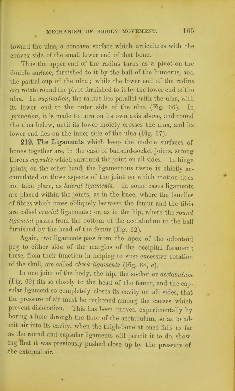 toward the ulna, a concave surface which articulates with the convex side of the small lower end of that bone. Thus the upper end of the radius turns as a pivot on the double surface, furnished to it by the ball of the humerus, and the partial cup of the ulna; while the lower end of the radius can rotate round the pivot furnished to it by the lower end of the ulna. In supination, the radius lies parallel with the ulna, with its lower end to the outer side of the ulna (Fig. 66). In pronation, it is made to turn on its own axis above, and round the ulna below, until its lower moiety crosses the ulna, and its lower end lies on the inner side of the ulna (Fig. 67). 219. The Ligaments which keep the mobile surfaces of bones together are, in the case of ball-and-socket joints, strong fibrous capsules which surround the joint on all sides. In hinge joints, on the other hand, the ligamentous tissue is chiefly ac- cumulated on those aspects of the joint on which motion docs not take place, as lateral ligaments. In some cases ligaments are placed within the joints, as in the knee, where the bundles of fibres which cross obliquely between the femur and the tibia are called crucial ligaments; or, as in the hip, where the round ligament passes from the bottom of the acetabulum to the ball furnished by the head of the femur (Fig. 62). Again, two ligaments pass from the apex of the odontoid peg to either side of the margins of the occipital foramen; these, from their function in helping to stop excessive rotation of the skull, are called check ligaments (Fig. 68, a). In one joint of the body, the hip, the socket or acetabulum (Fig. 62) fits so closely to the head of the femur, and the cap- sular ligament so completely closes its cavity on all sides, that the pressure of air must be reckoned among the causes which prevent dislocation. This has been proved experimentally by boring a hole through the floor of the acetabulum, so as to ad- mit air into its cavity, when the thigh-bone at once falls as far as the round and capsular ligaments will permit it to do, show- ing that it was previously pushed close up by the pressure of the external air.